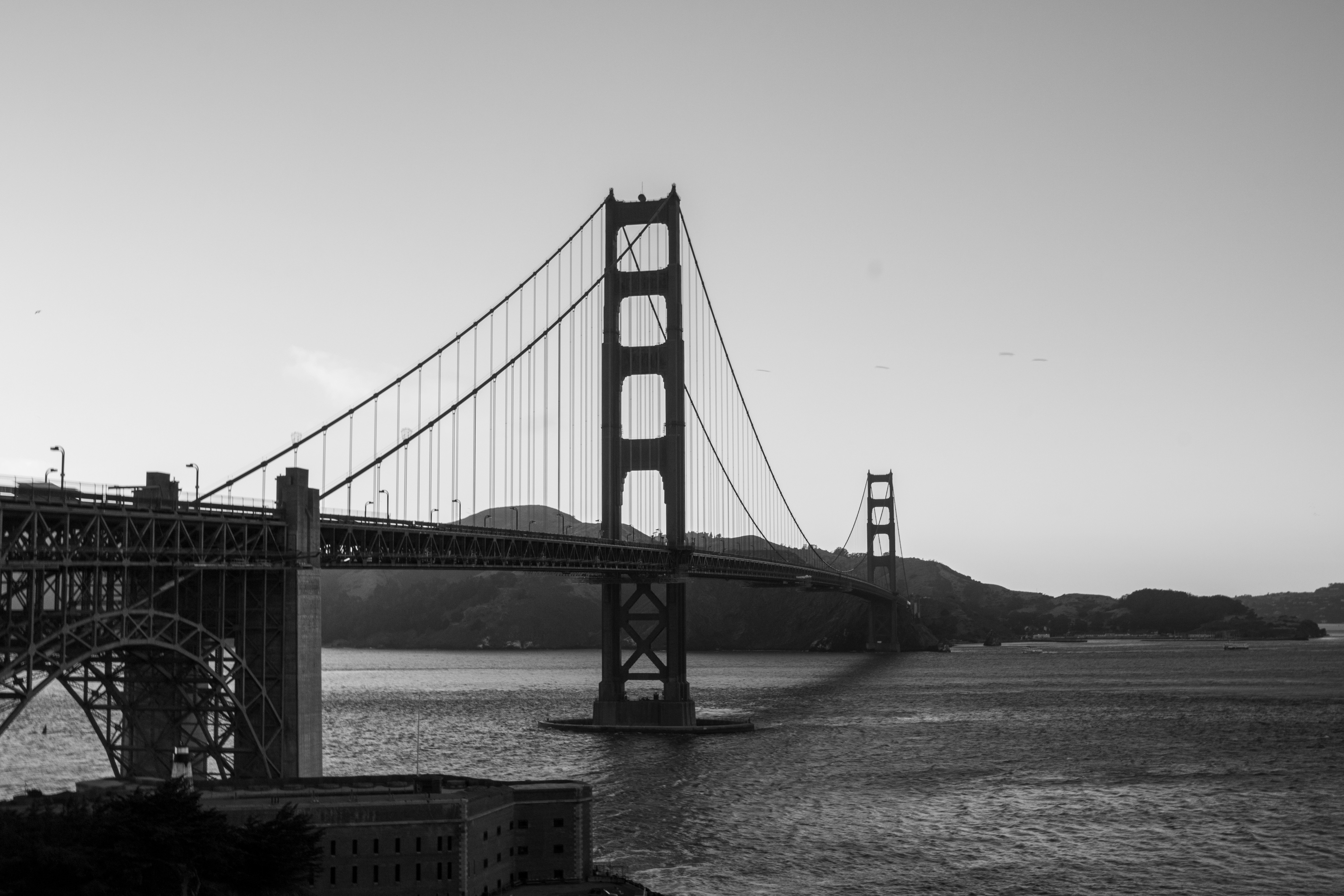 Photo by zoshuacolah