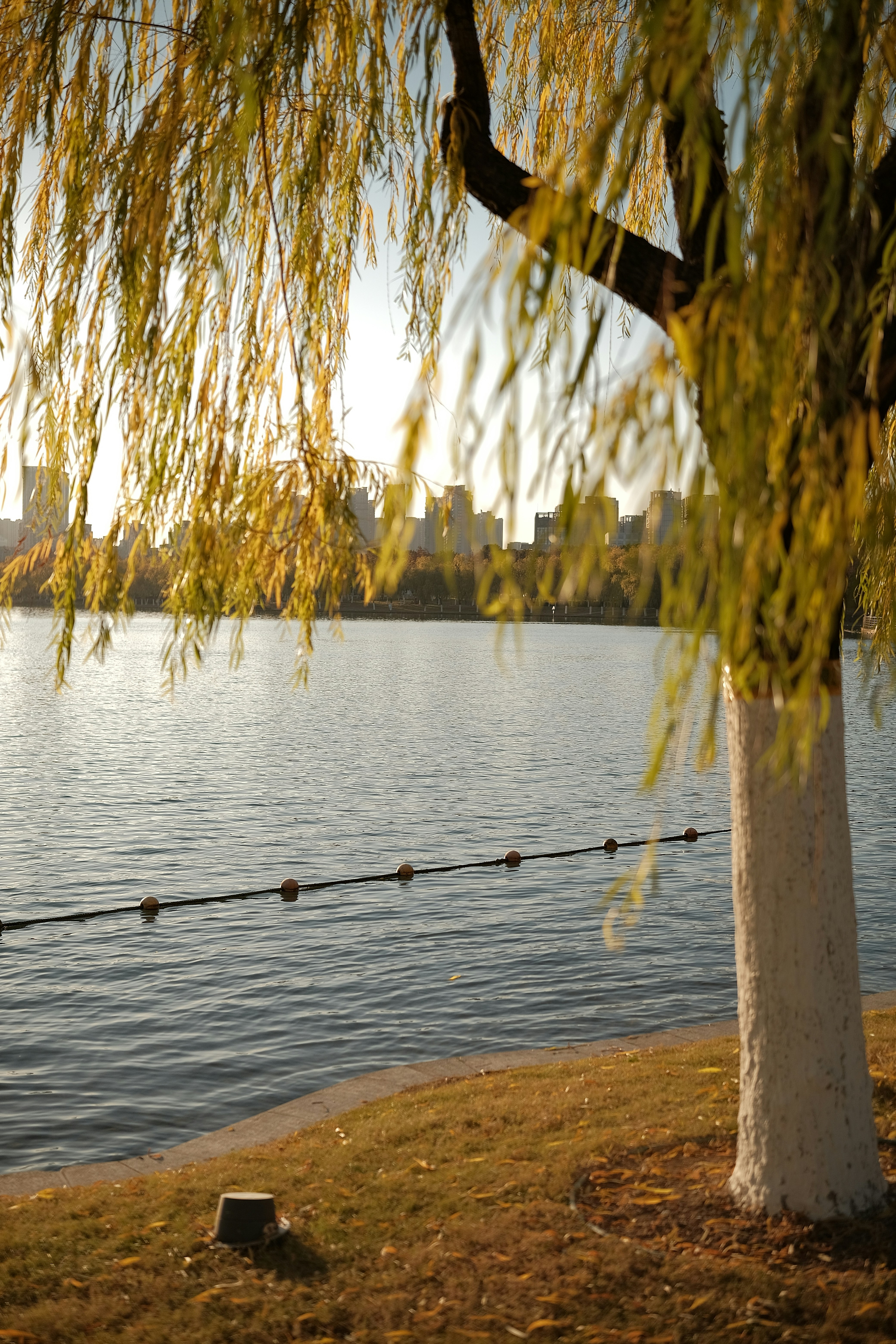 Un hombre sentado en un banco junto a un cuerpo de agua