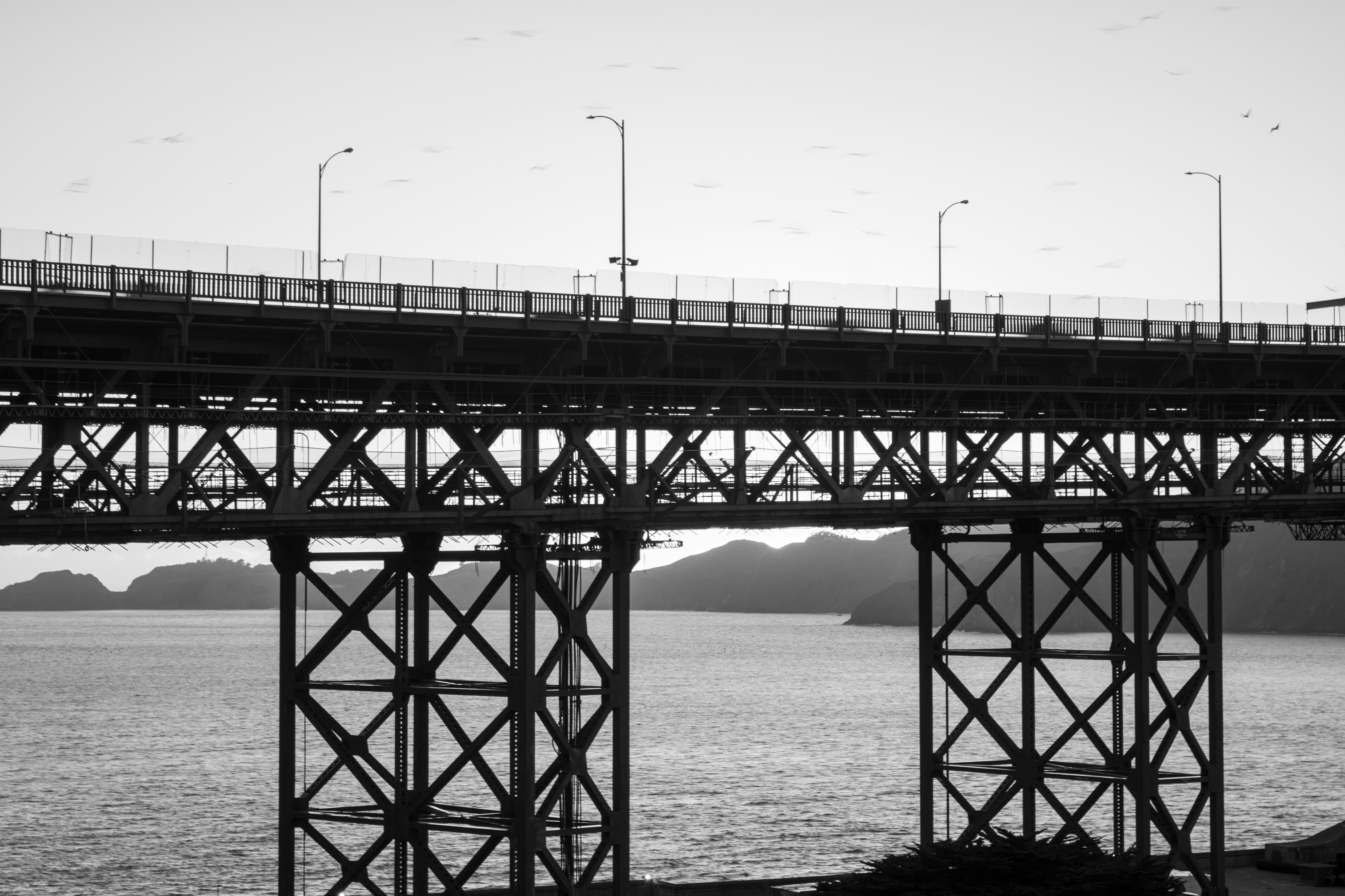 Photo by zoshuacolah