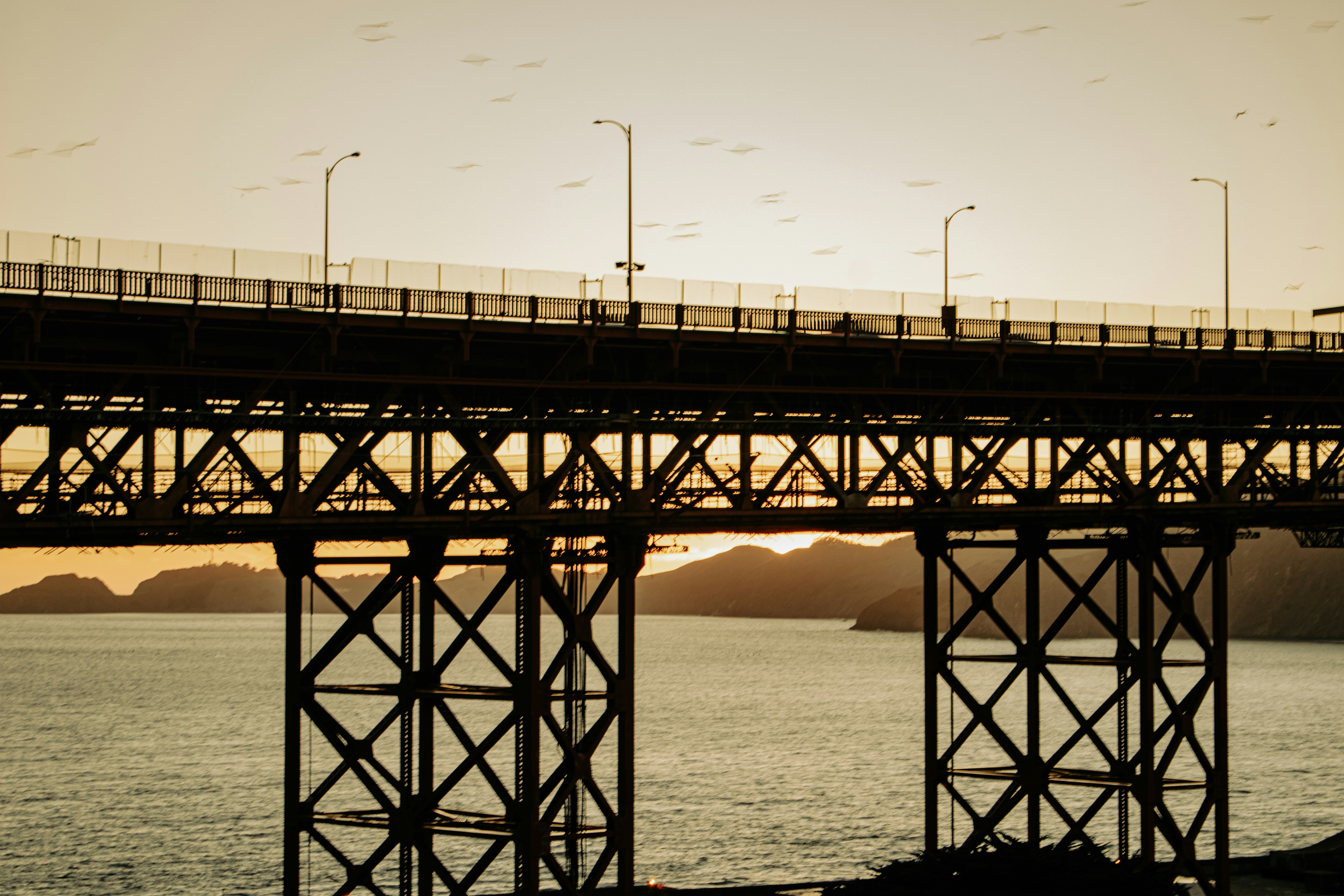 Photo by zoshuacolah