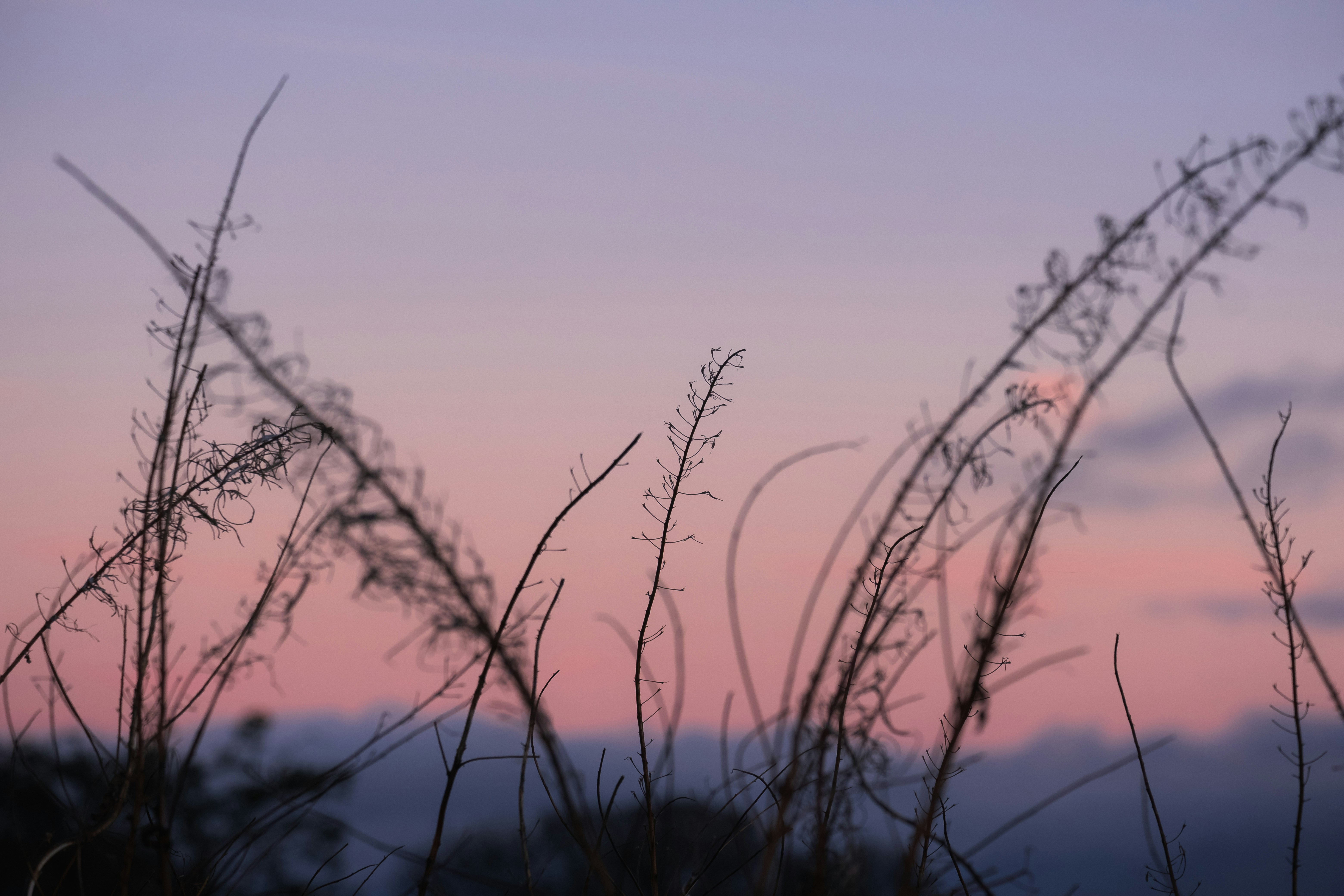 Photo by rory_tucker_photography