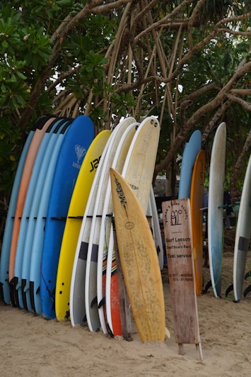 A bunch of surfboards lined up against a tree