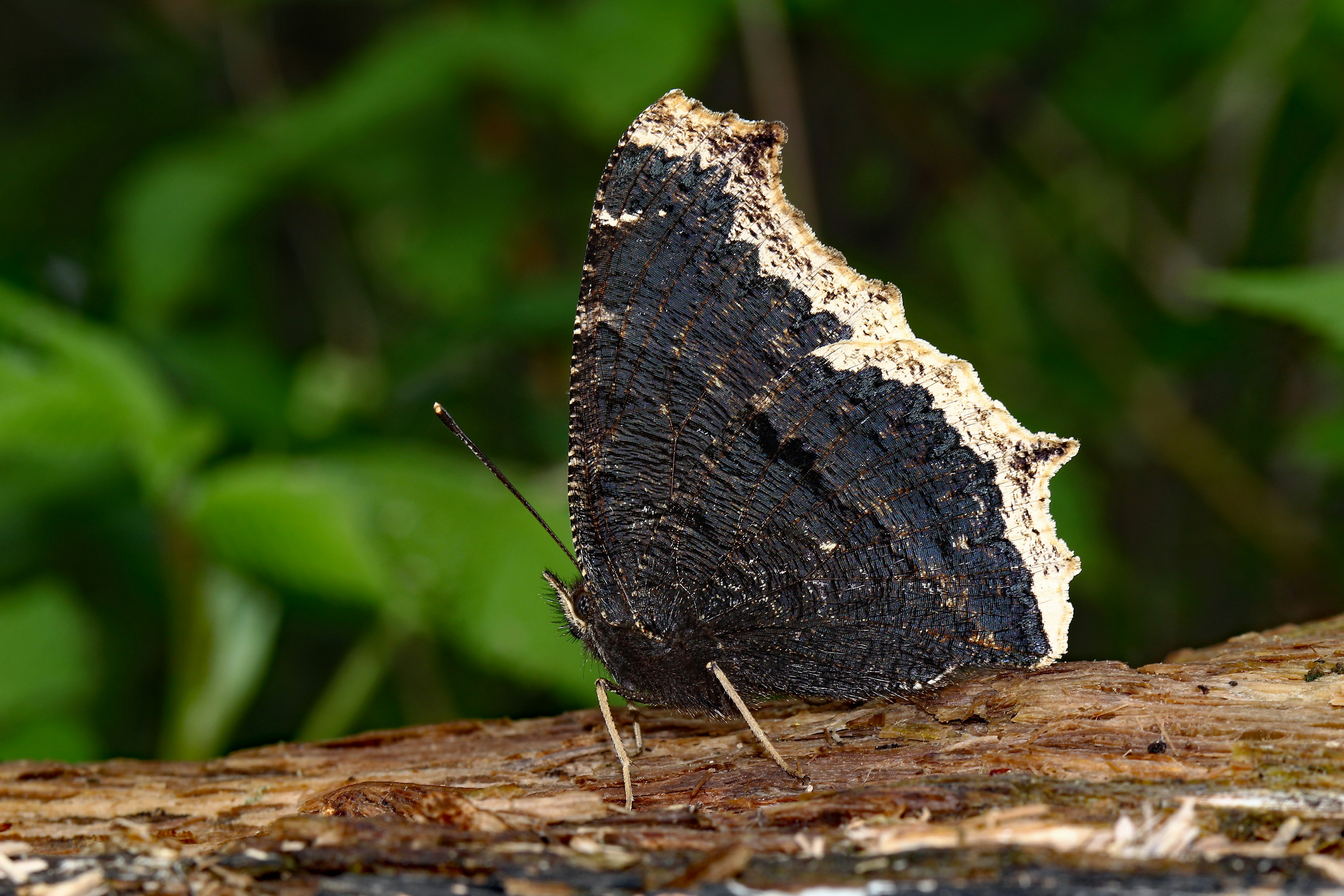 Photo by telliottmbamsc