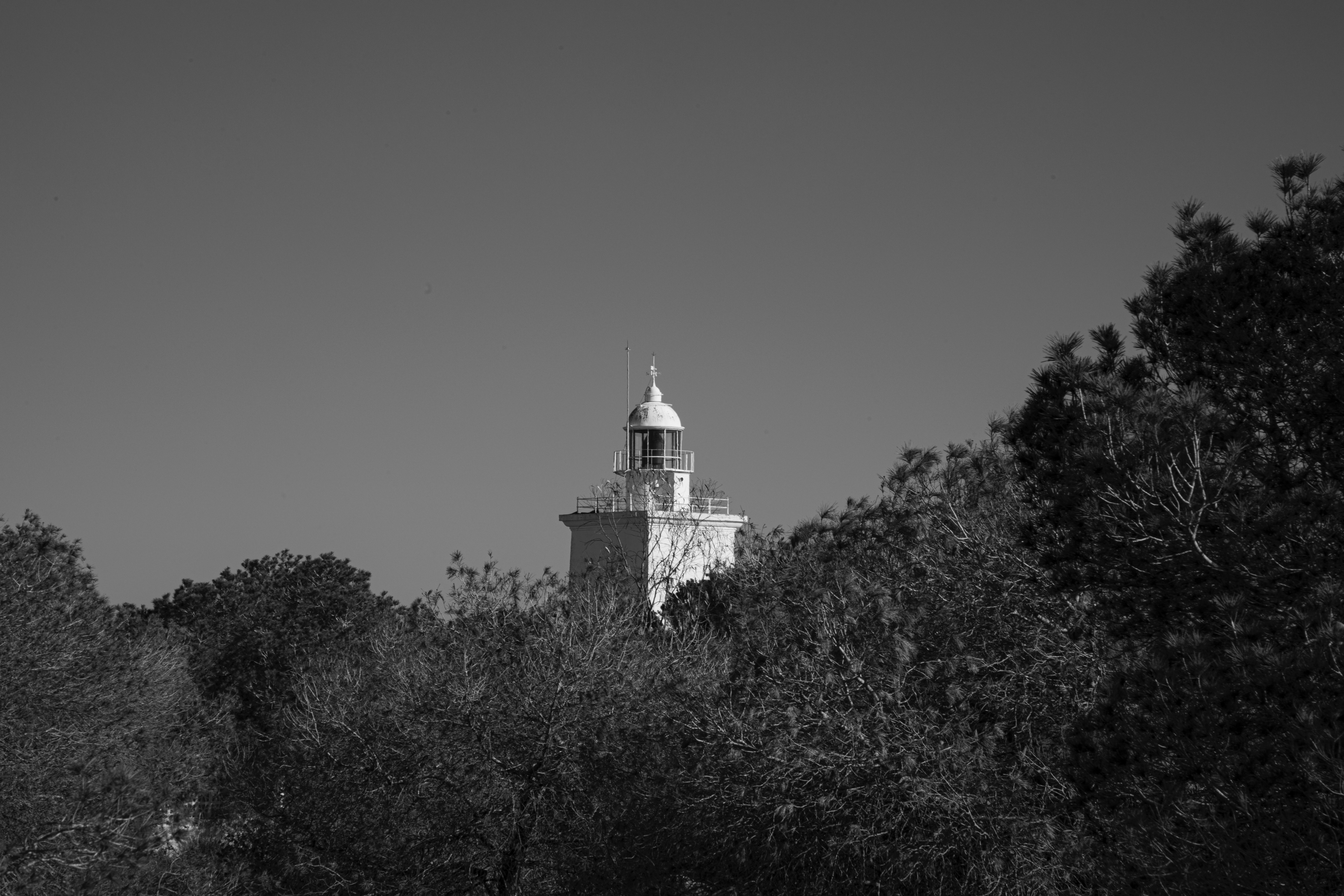 A black and white photo of a clock tower