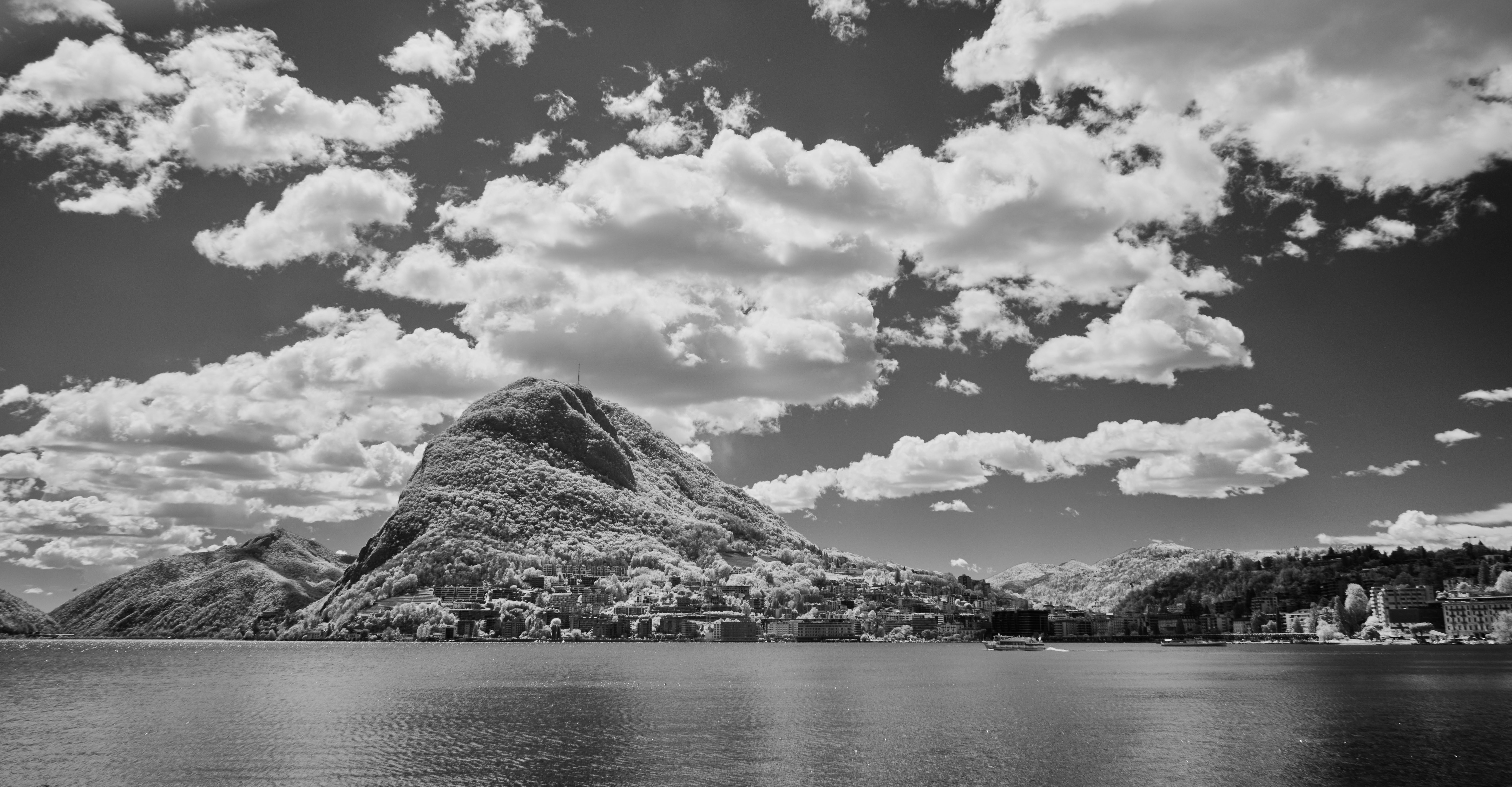 Photo by wolfgang_hasselmann