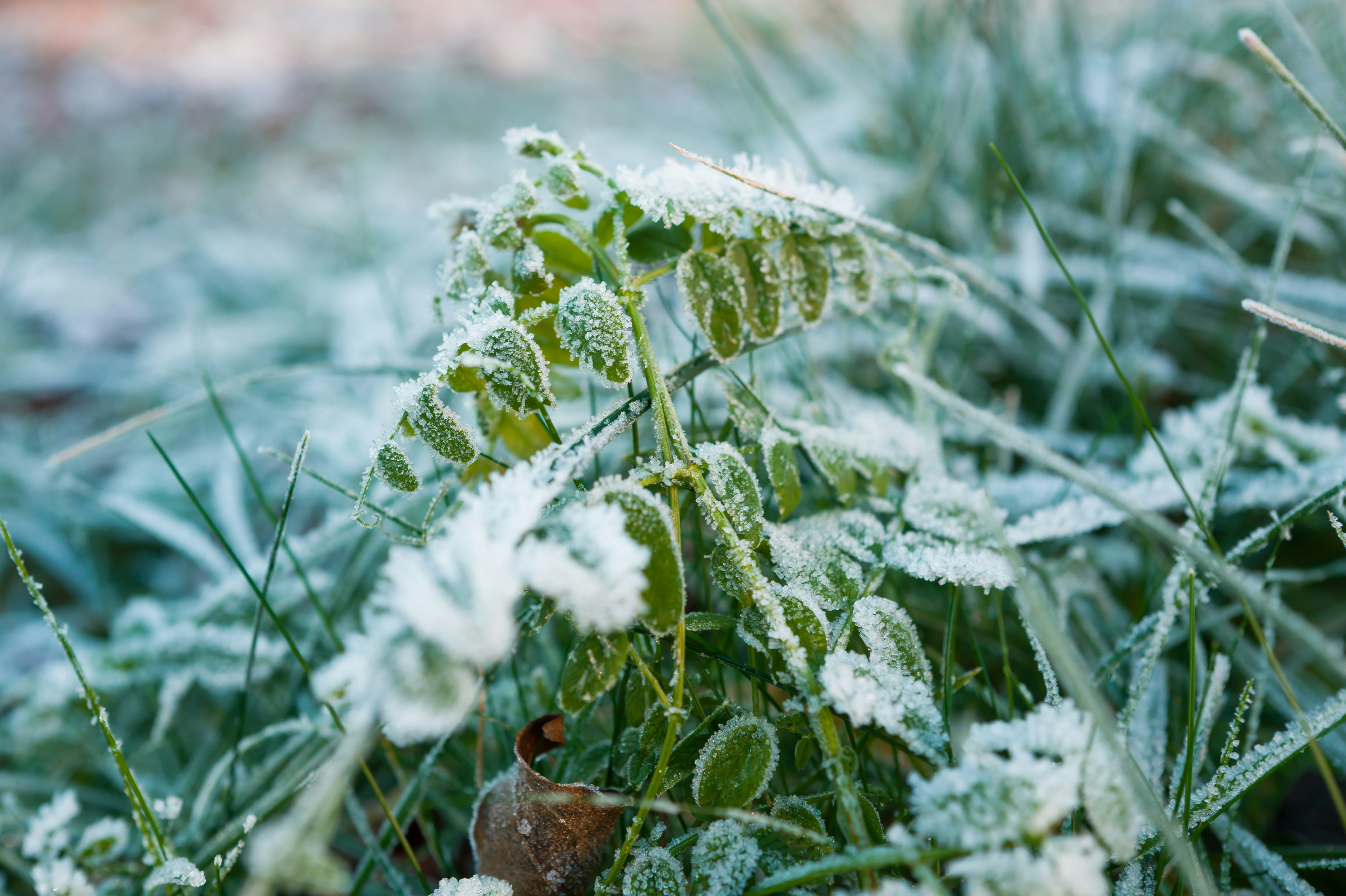 Photo by georgeiermann