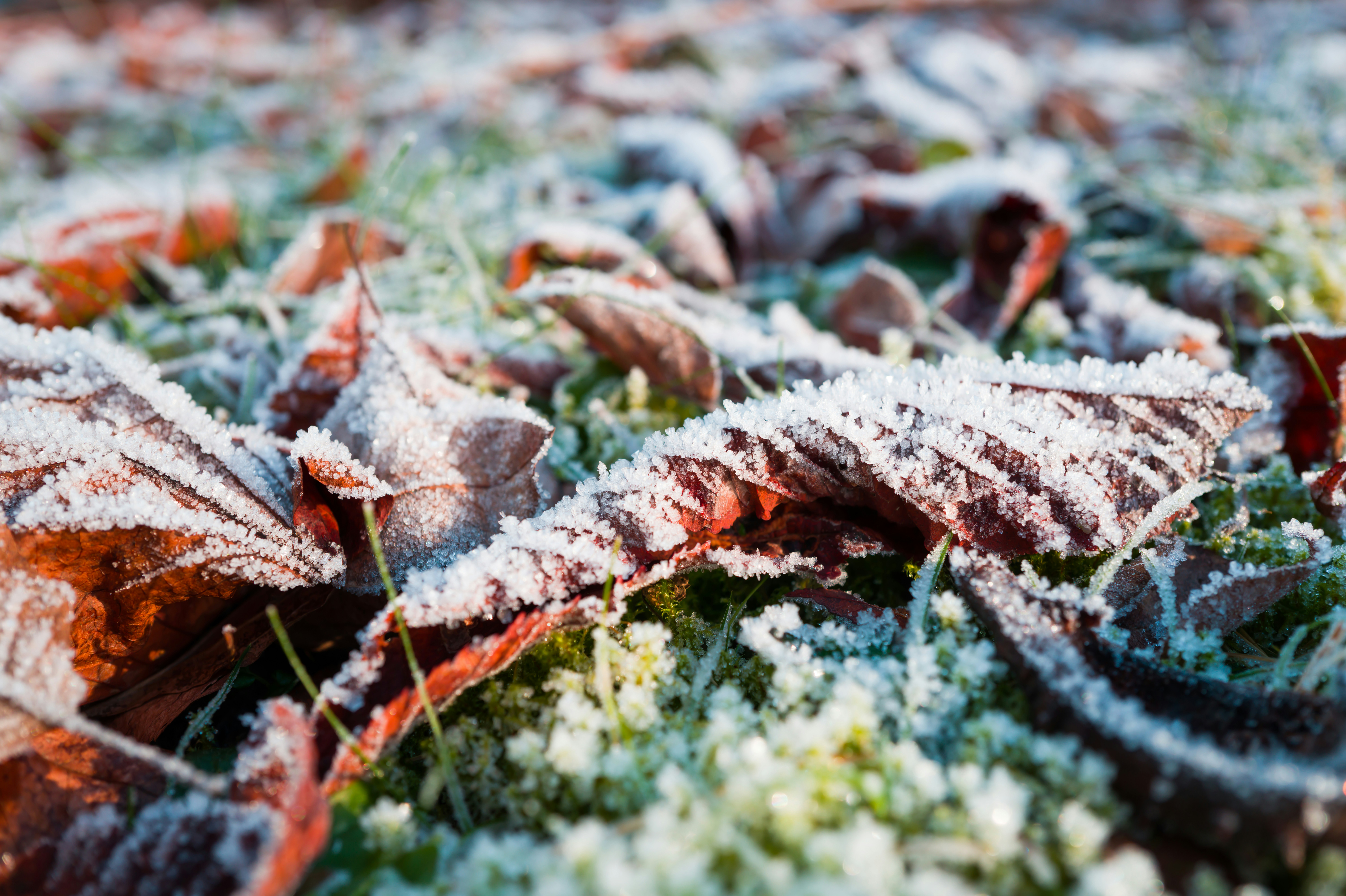 Photo by georgeiermann