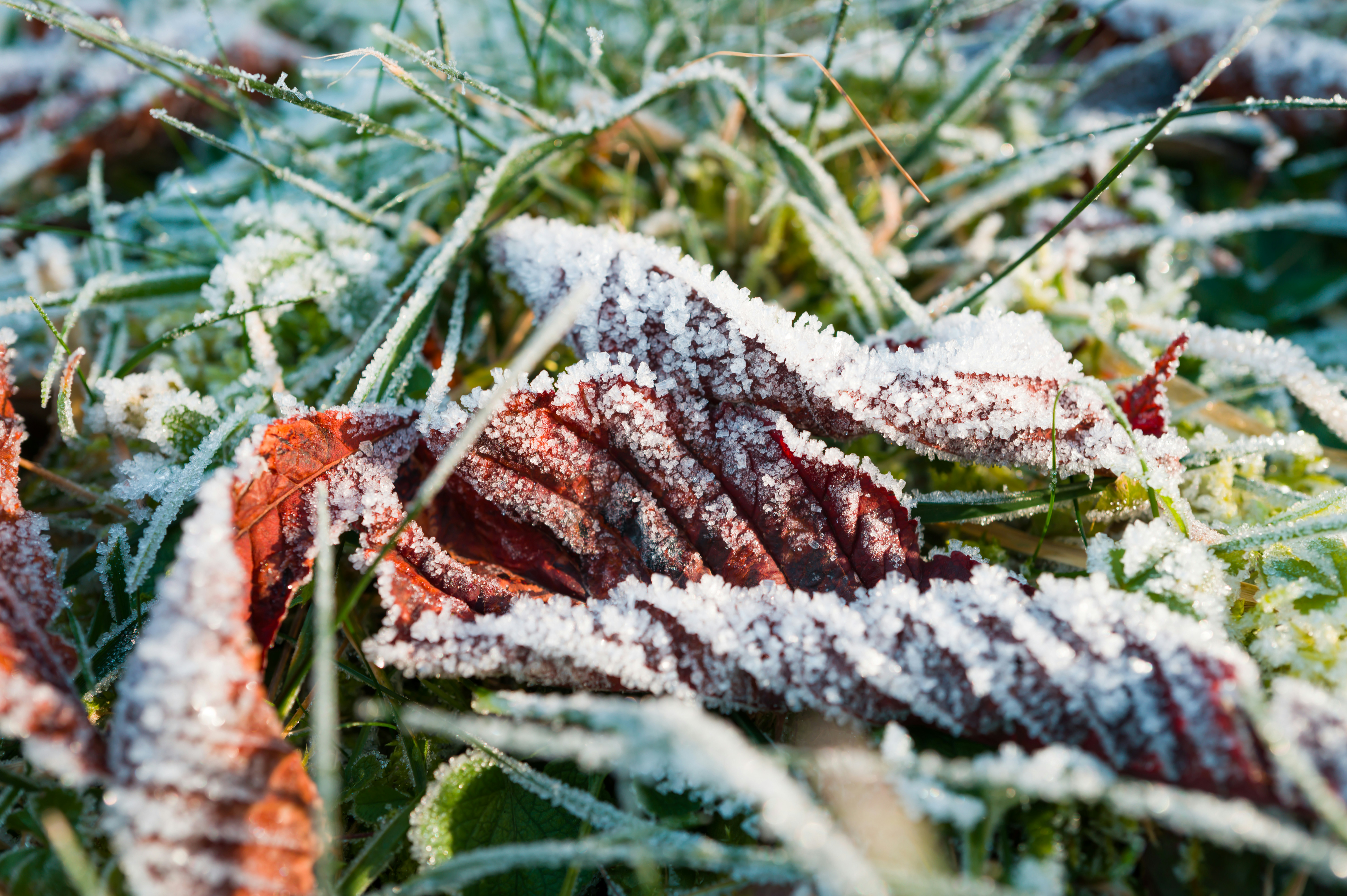 Photo by georgeiermann