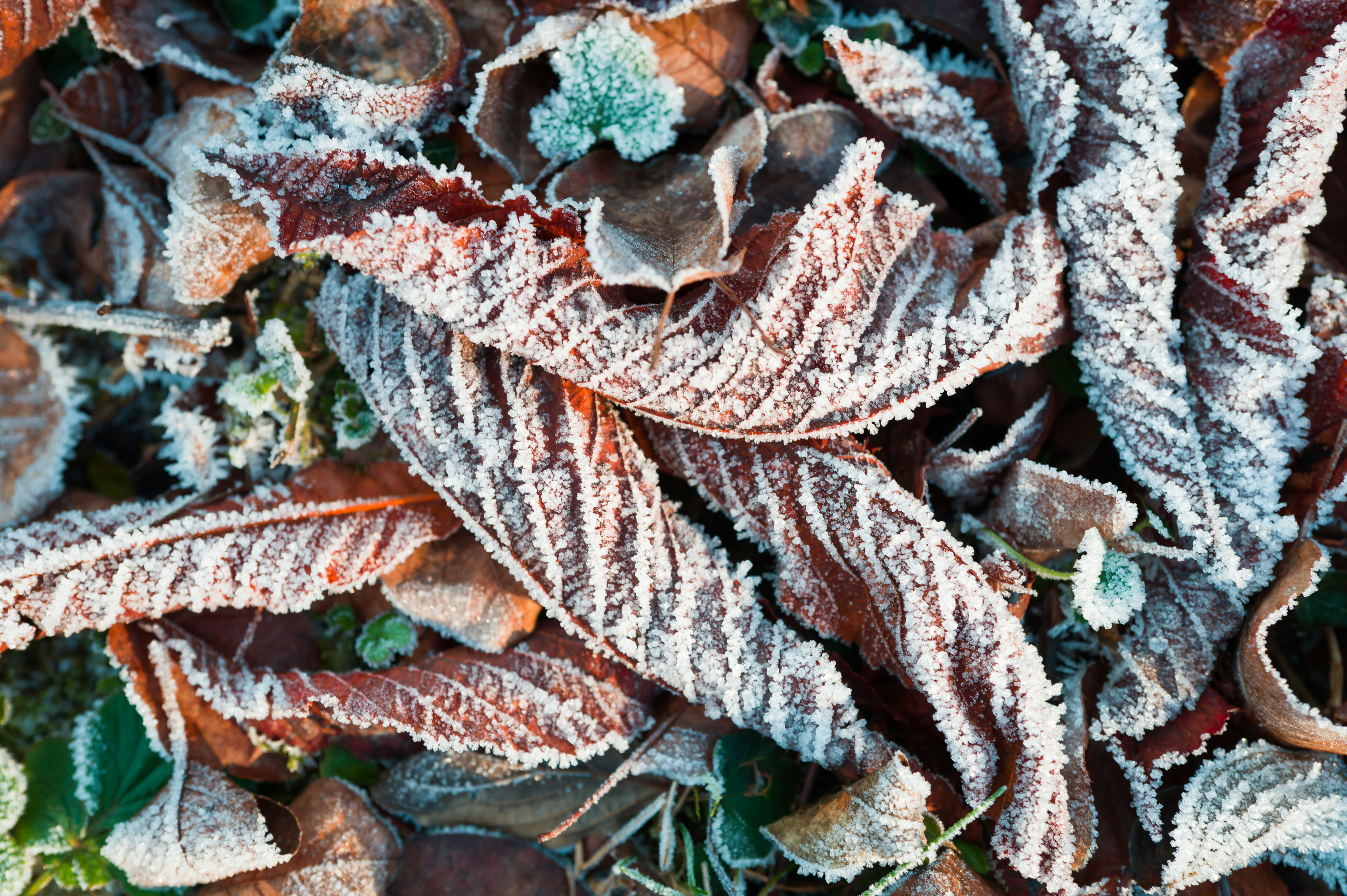 Photo by georgeiermann