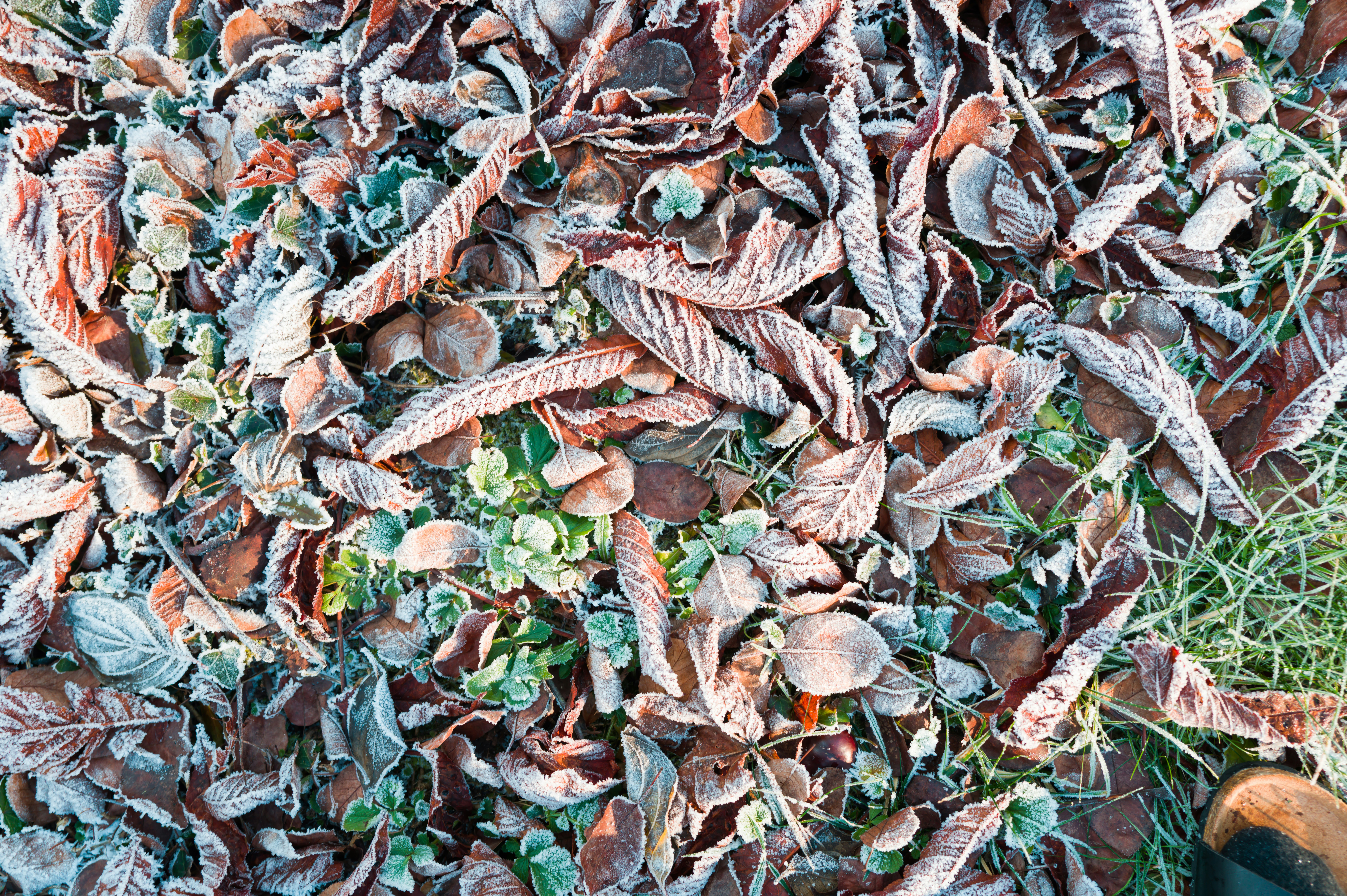 Photo by georgeiermann