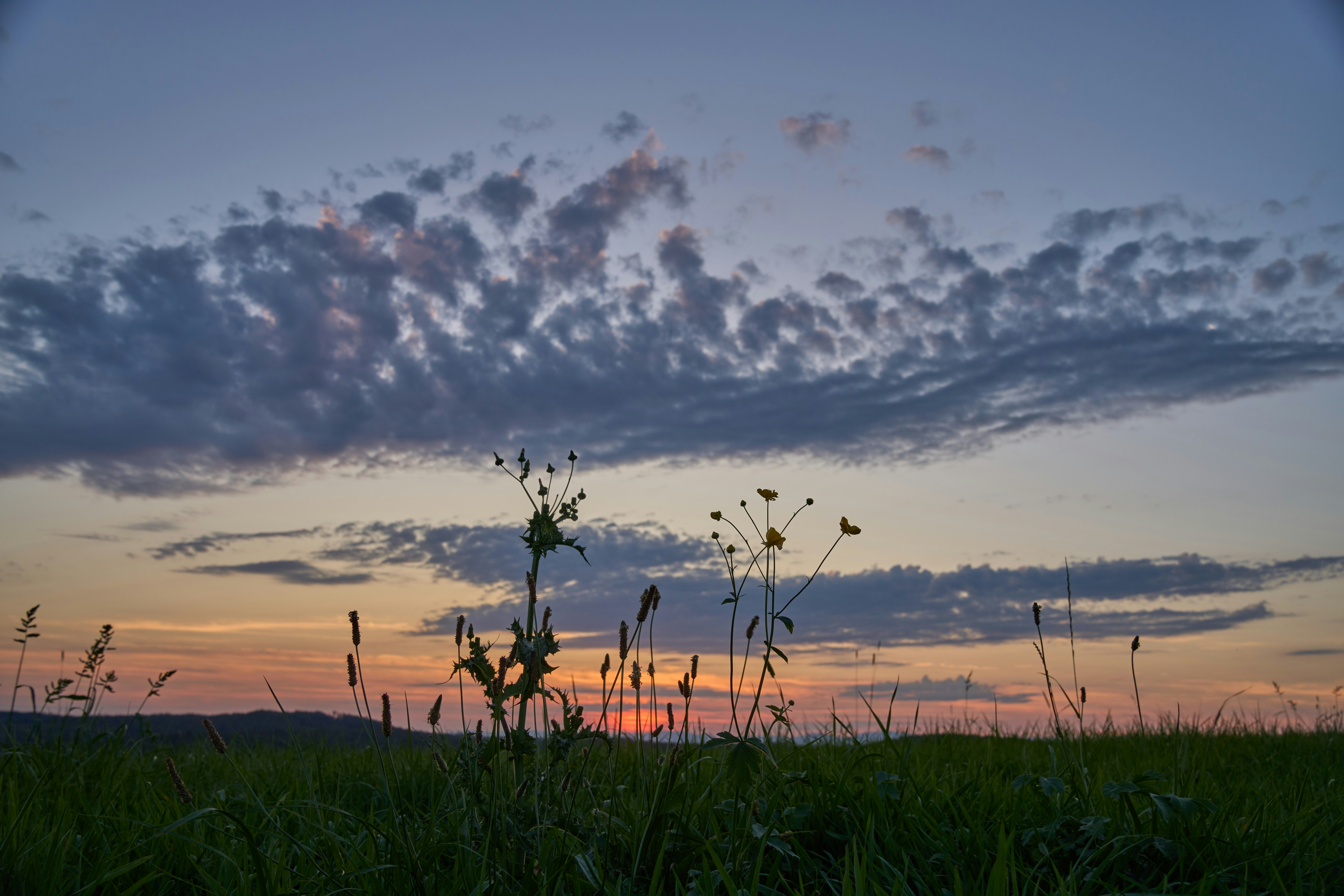 Photo by wolfgang_hasselmann