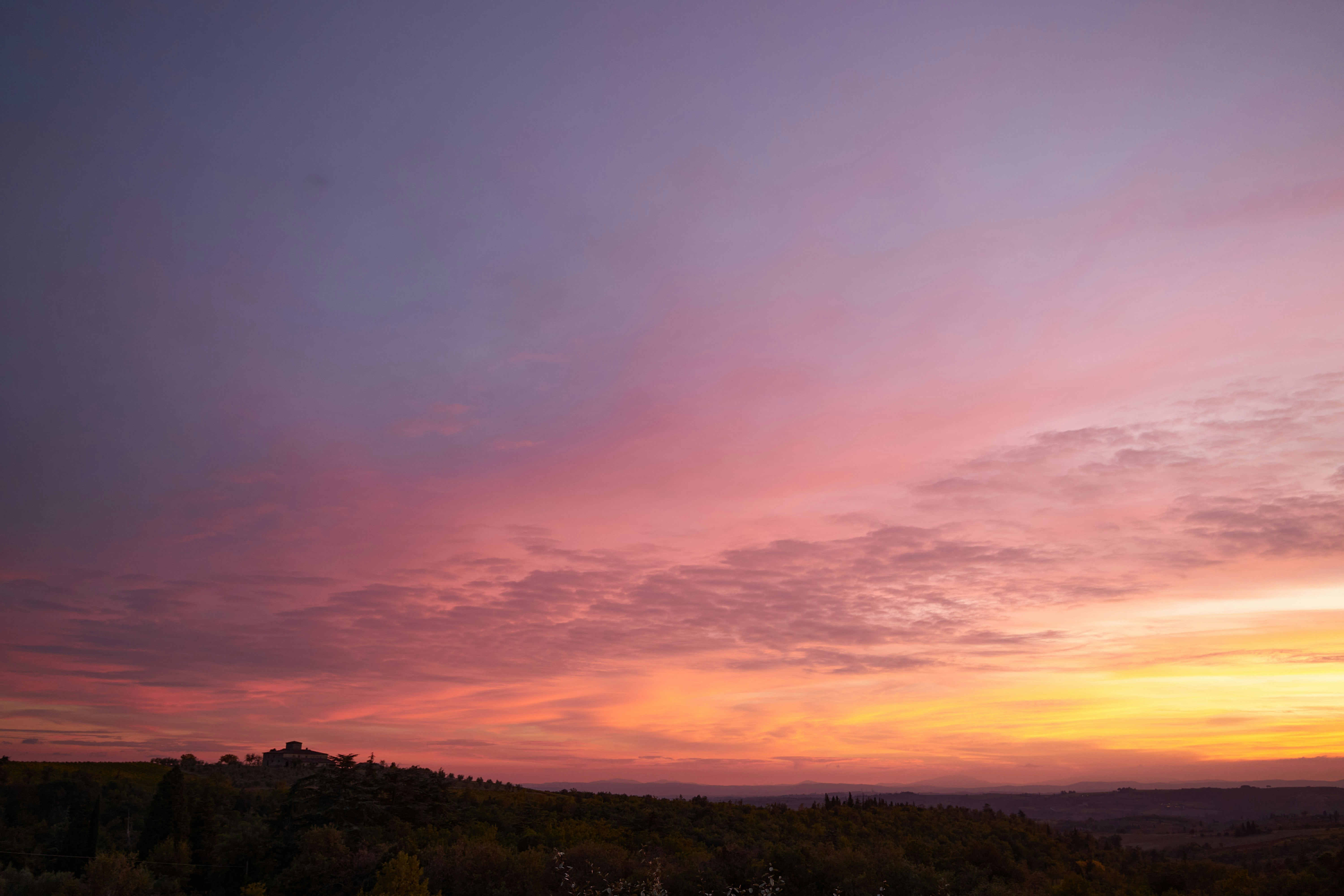 Photo by wolfgang_hasselmann