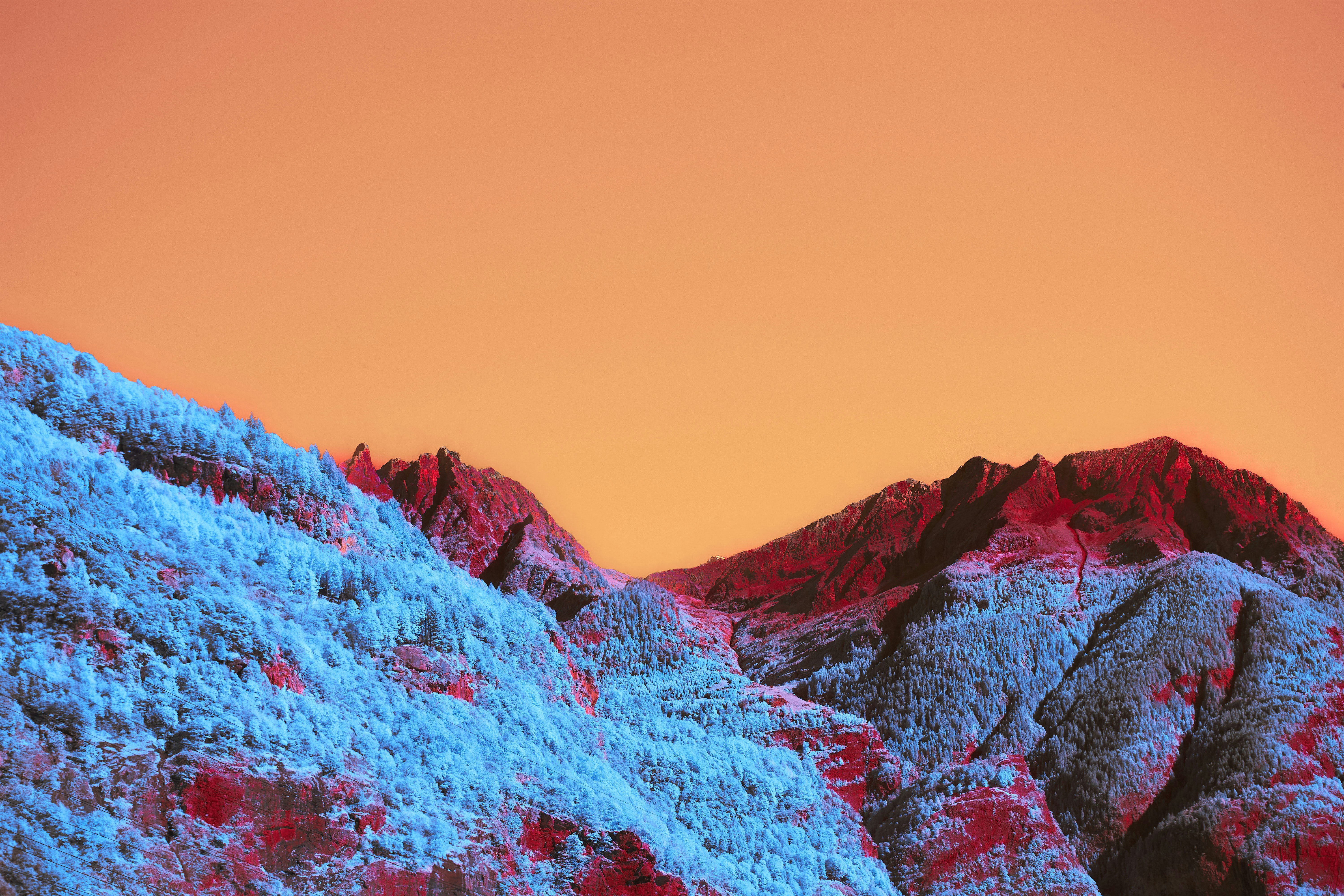 Photo by wolfgang_hasselmann