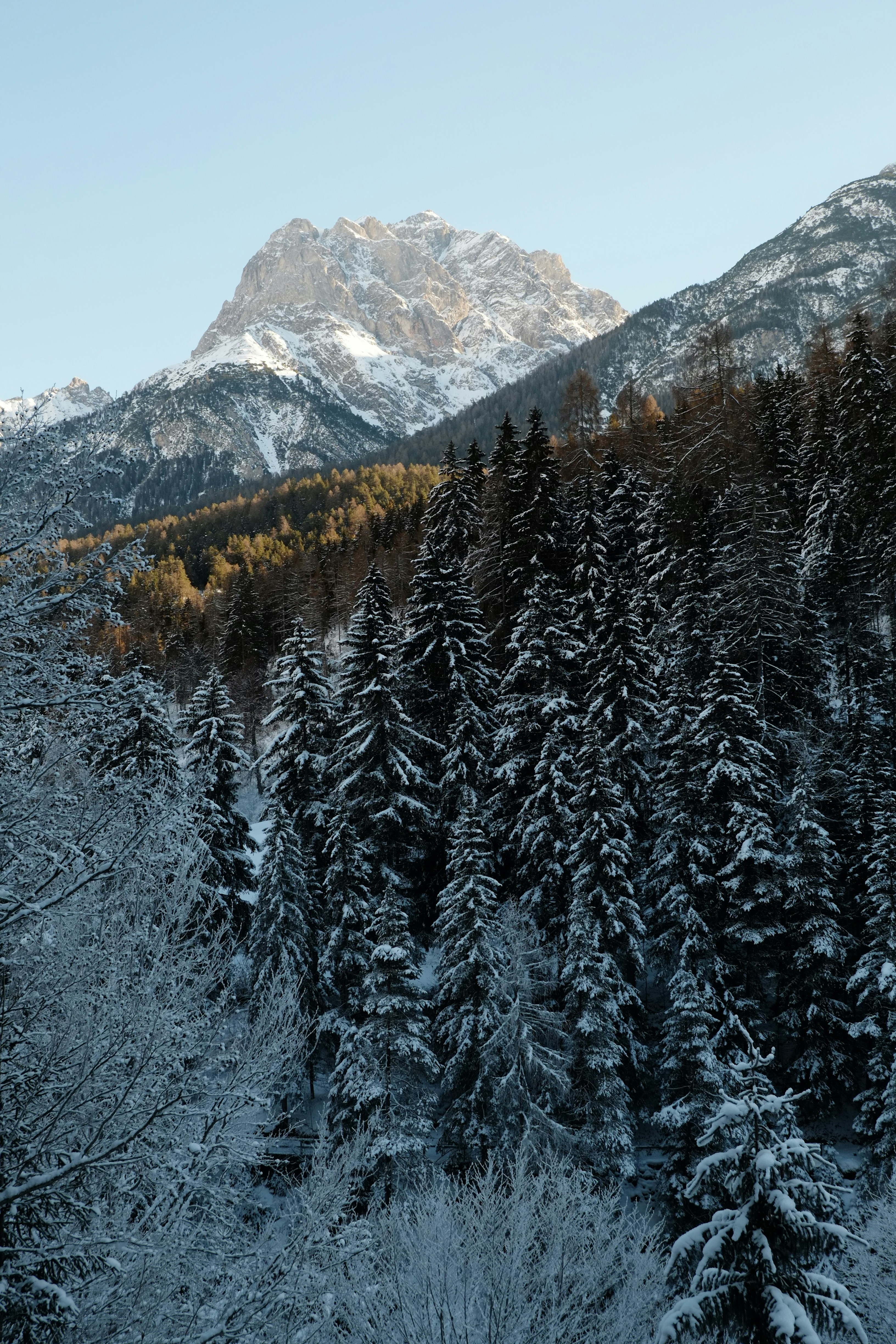 Photo by bernhardbar