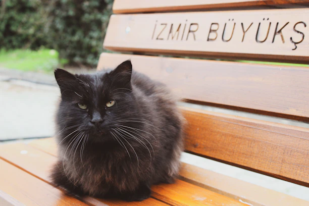 webajansglobal.com-izmir-web-tasarim-2