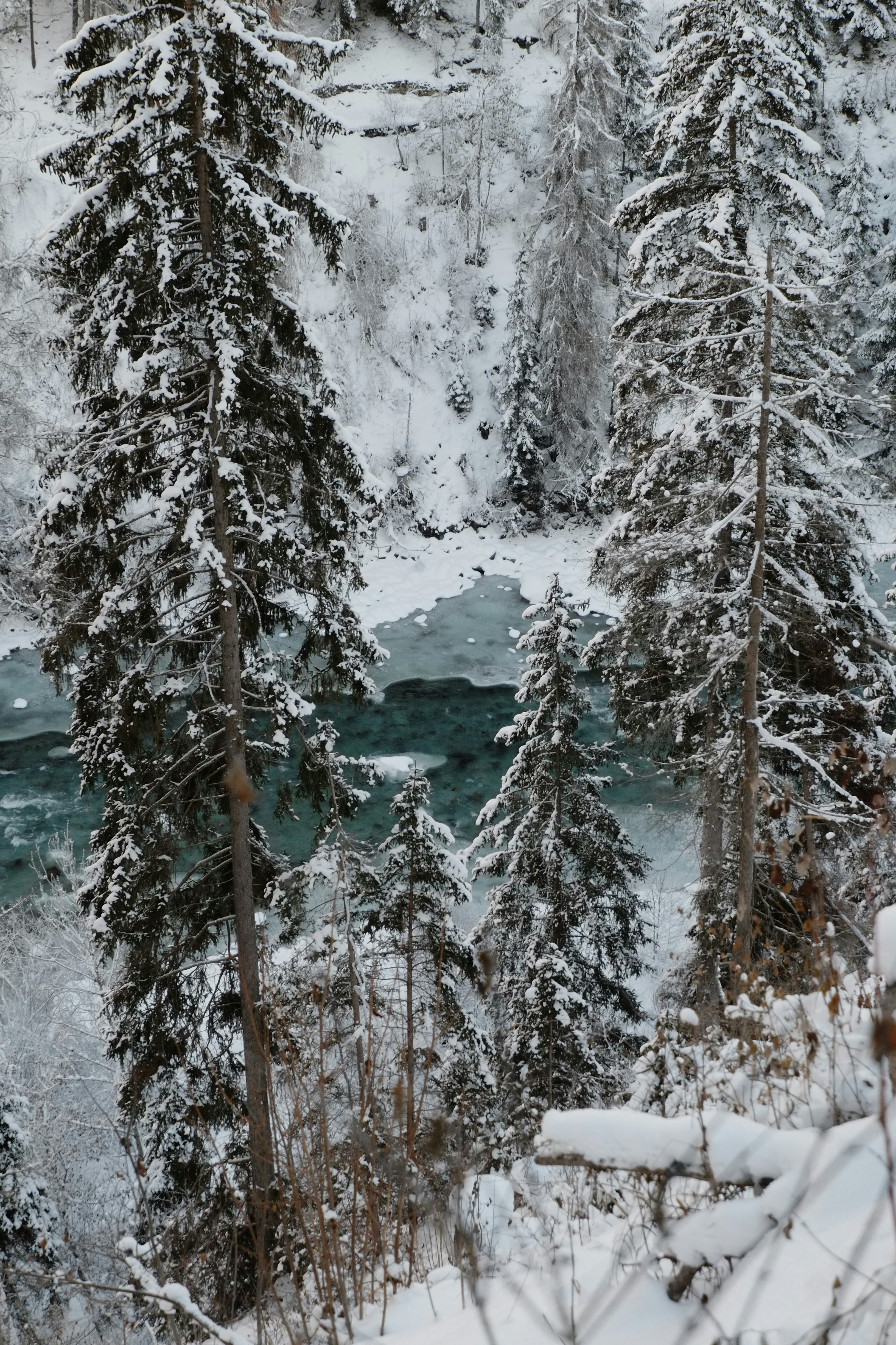 Photo by bernhardbar