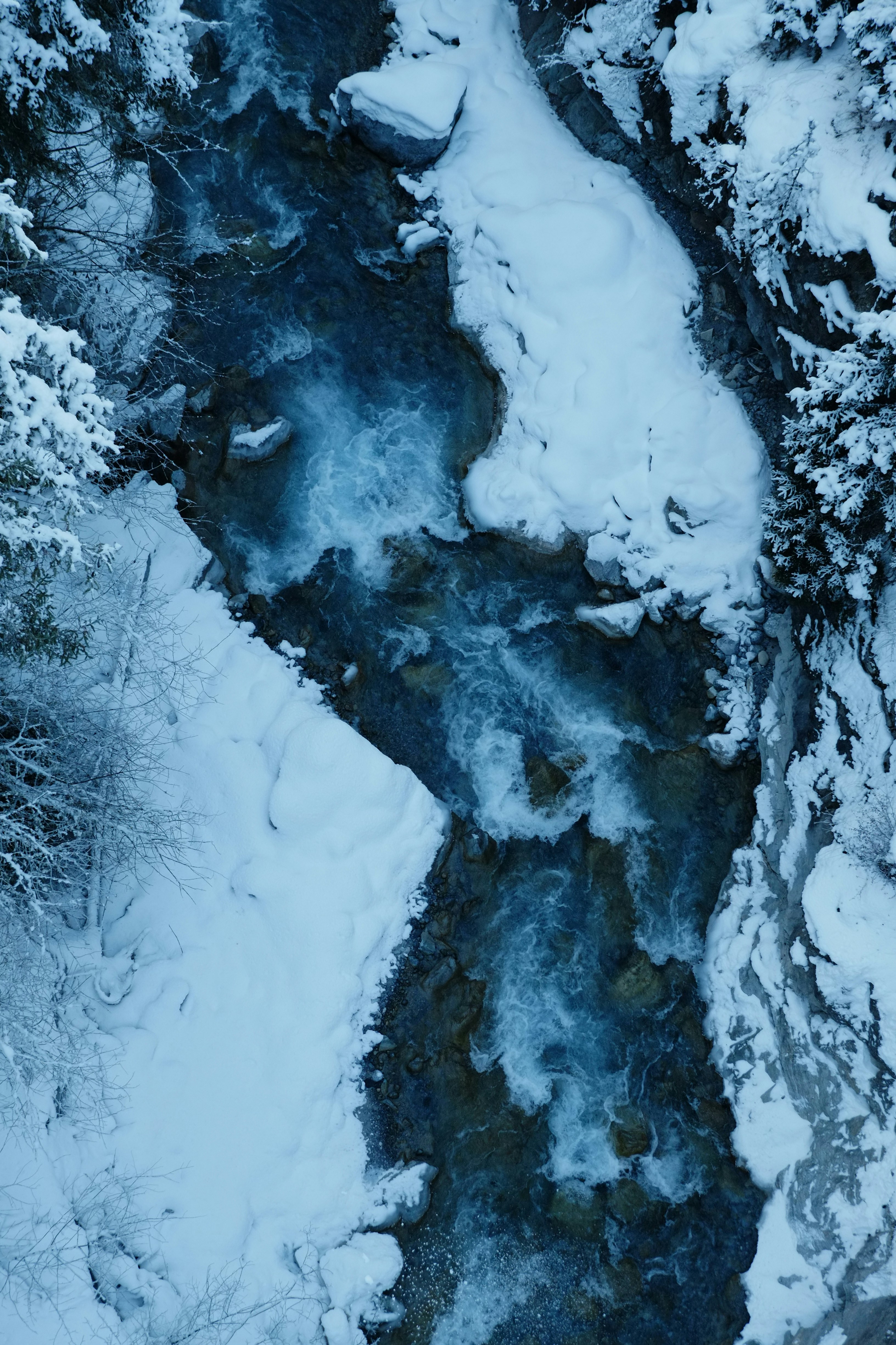 Photo by bernhardbar