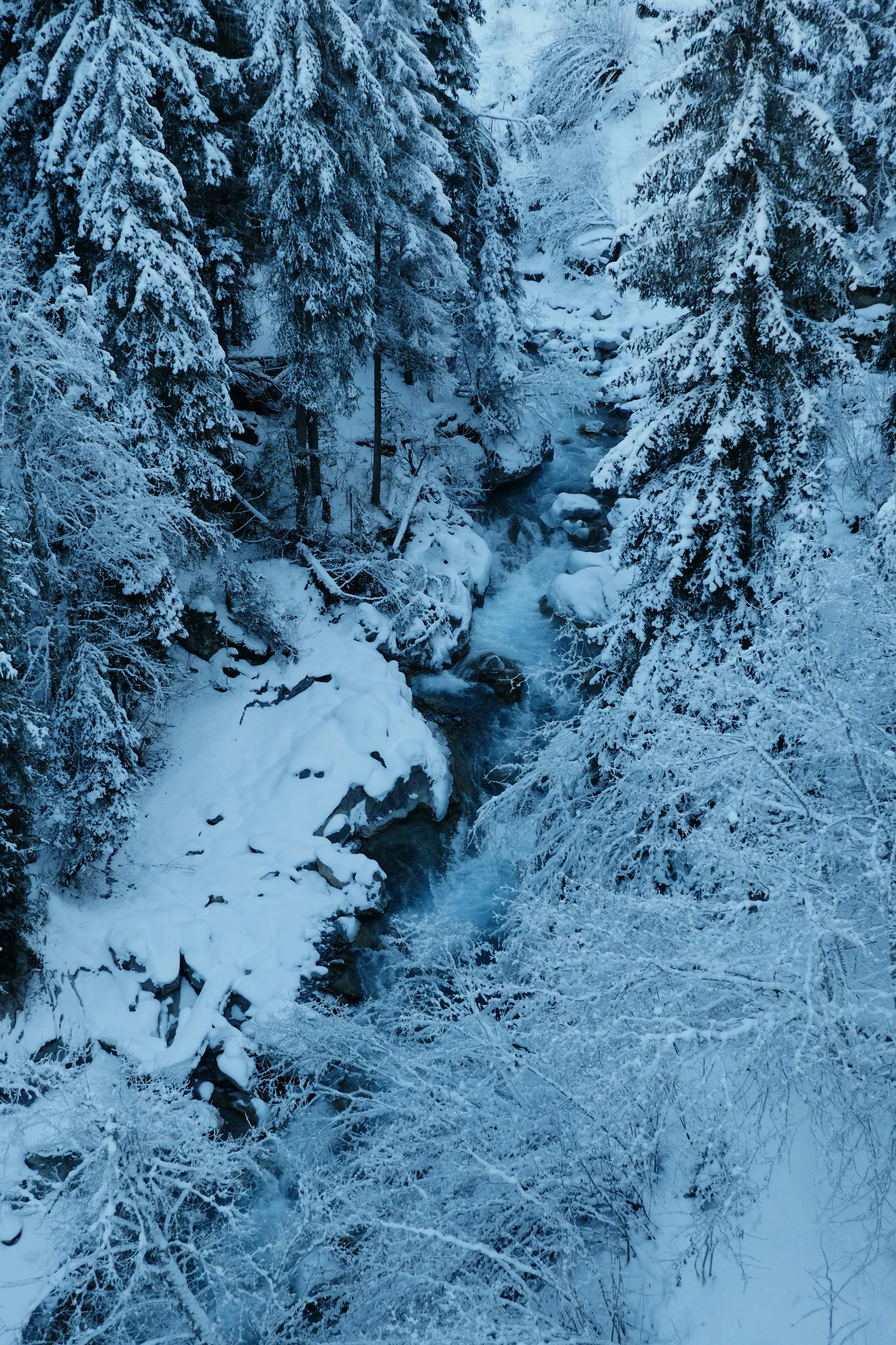 Photo by bernhardbar