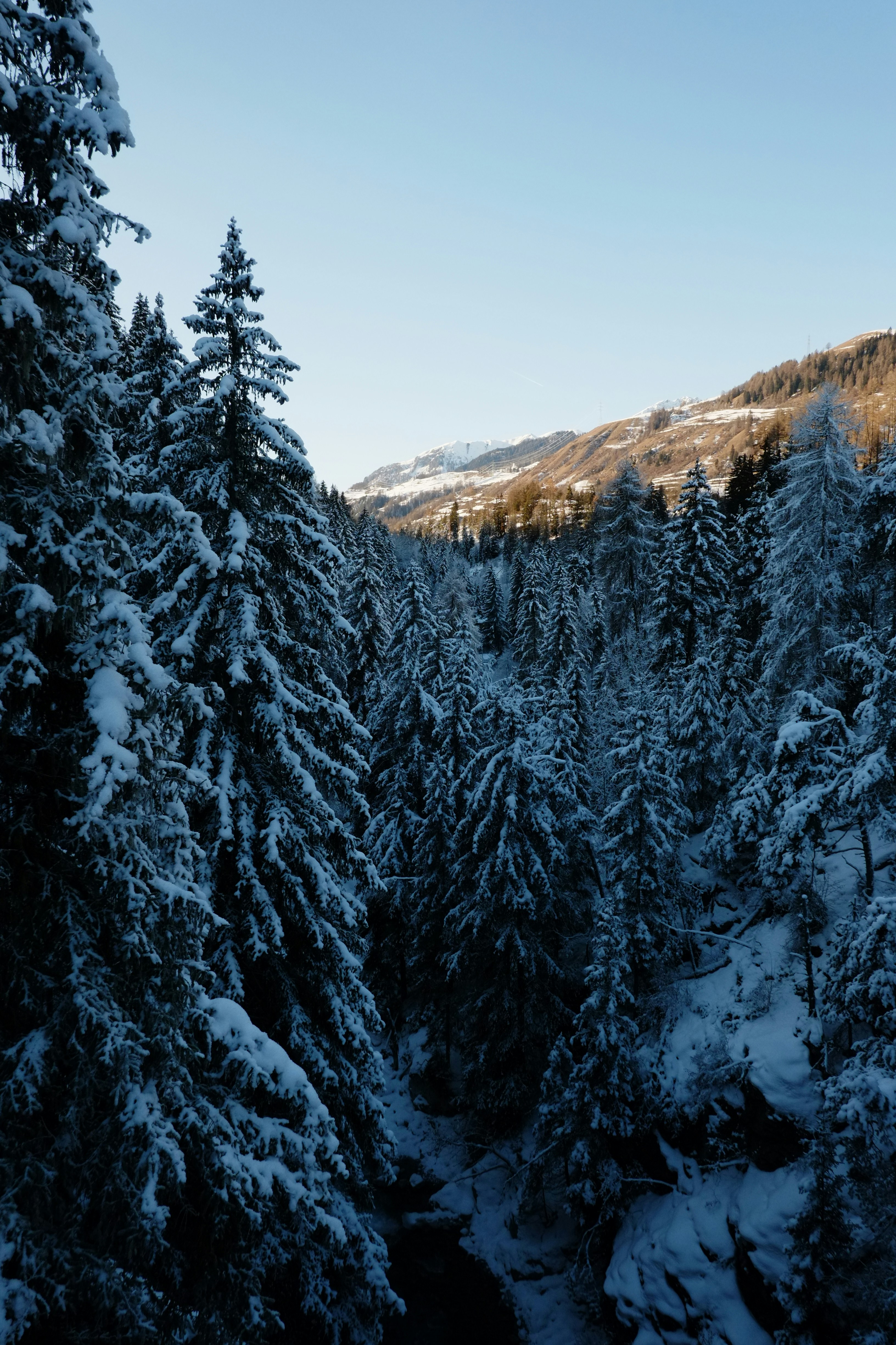 Photo by bernhardbar