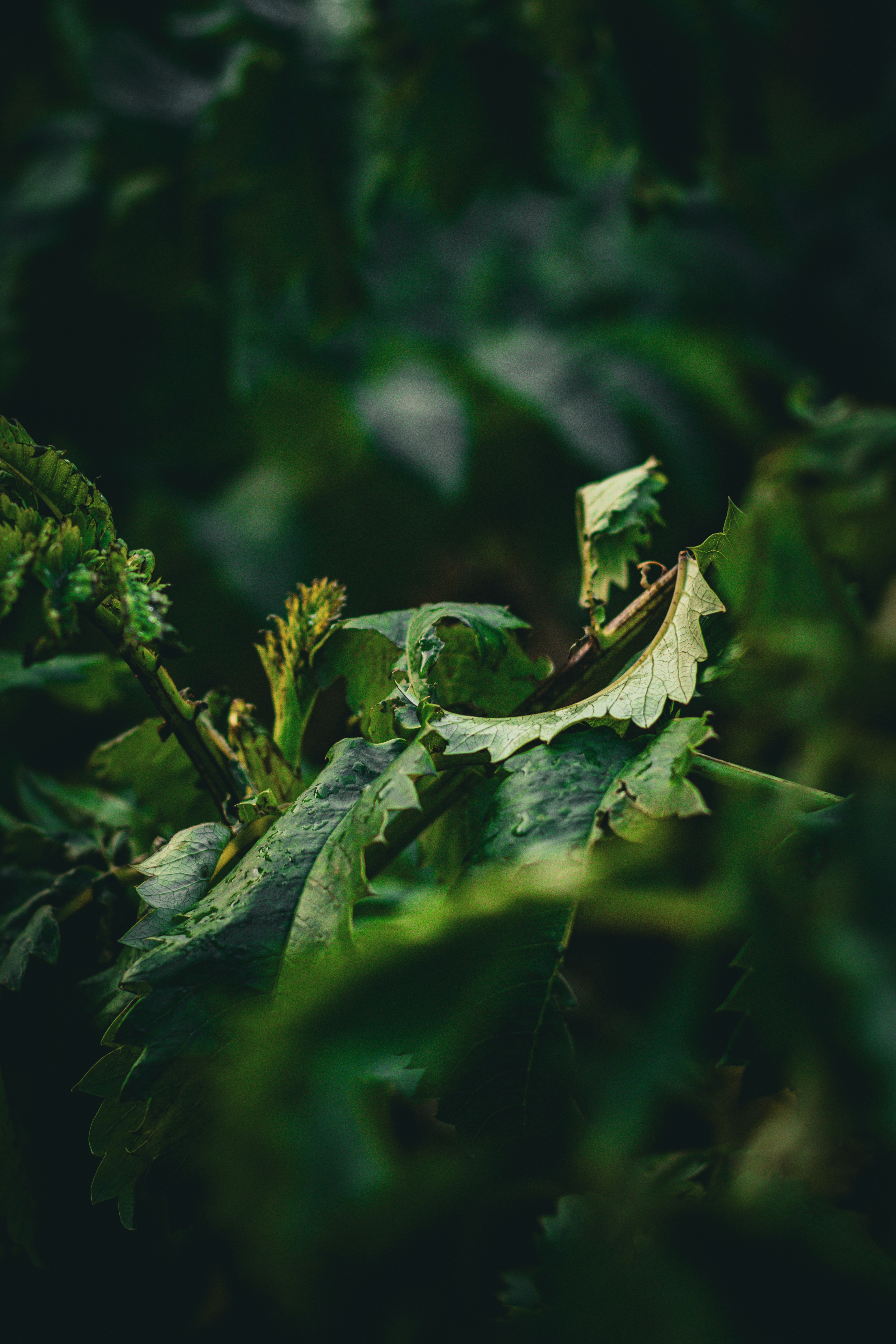 Photo by will__wright