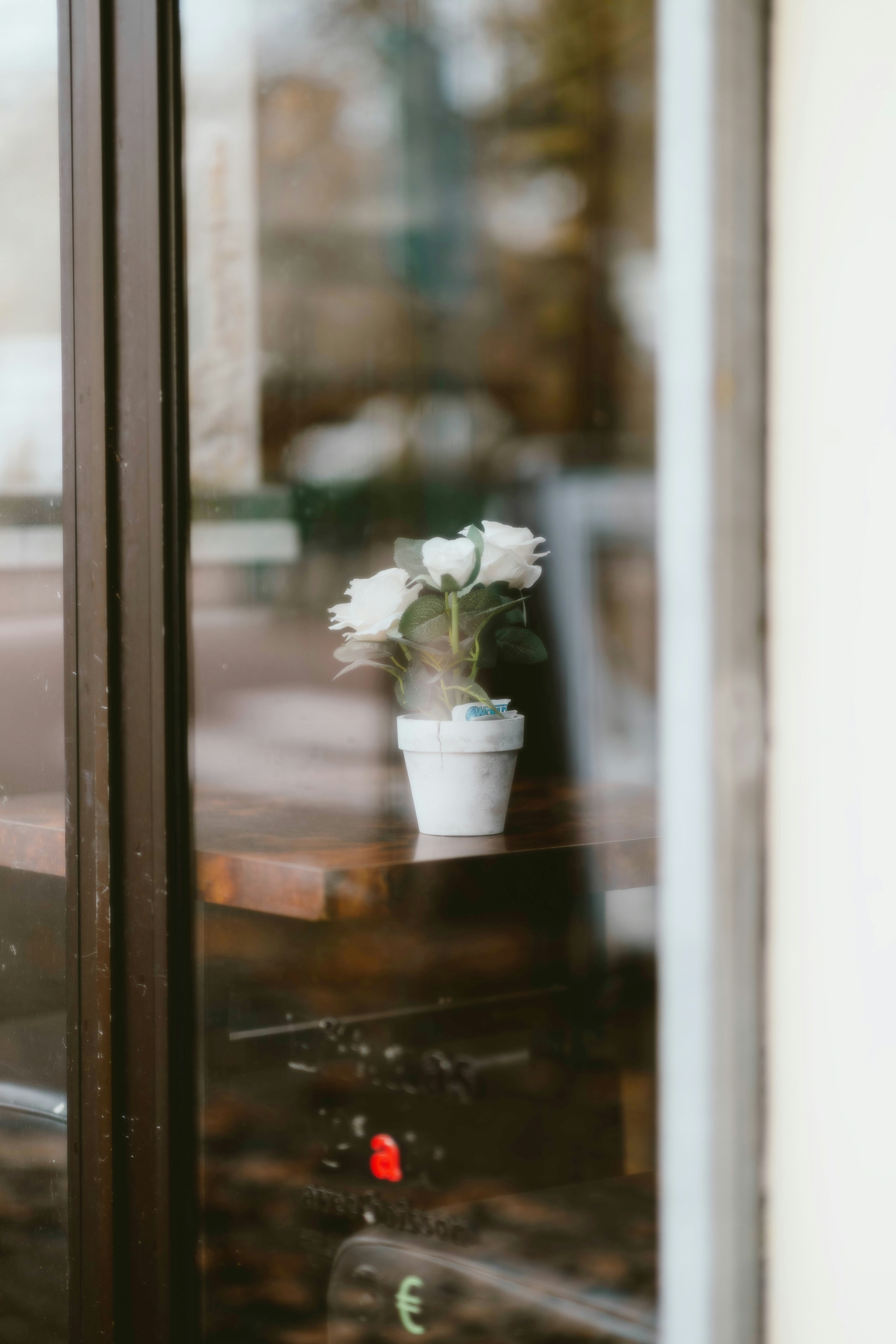 Photo by alingavriliuc