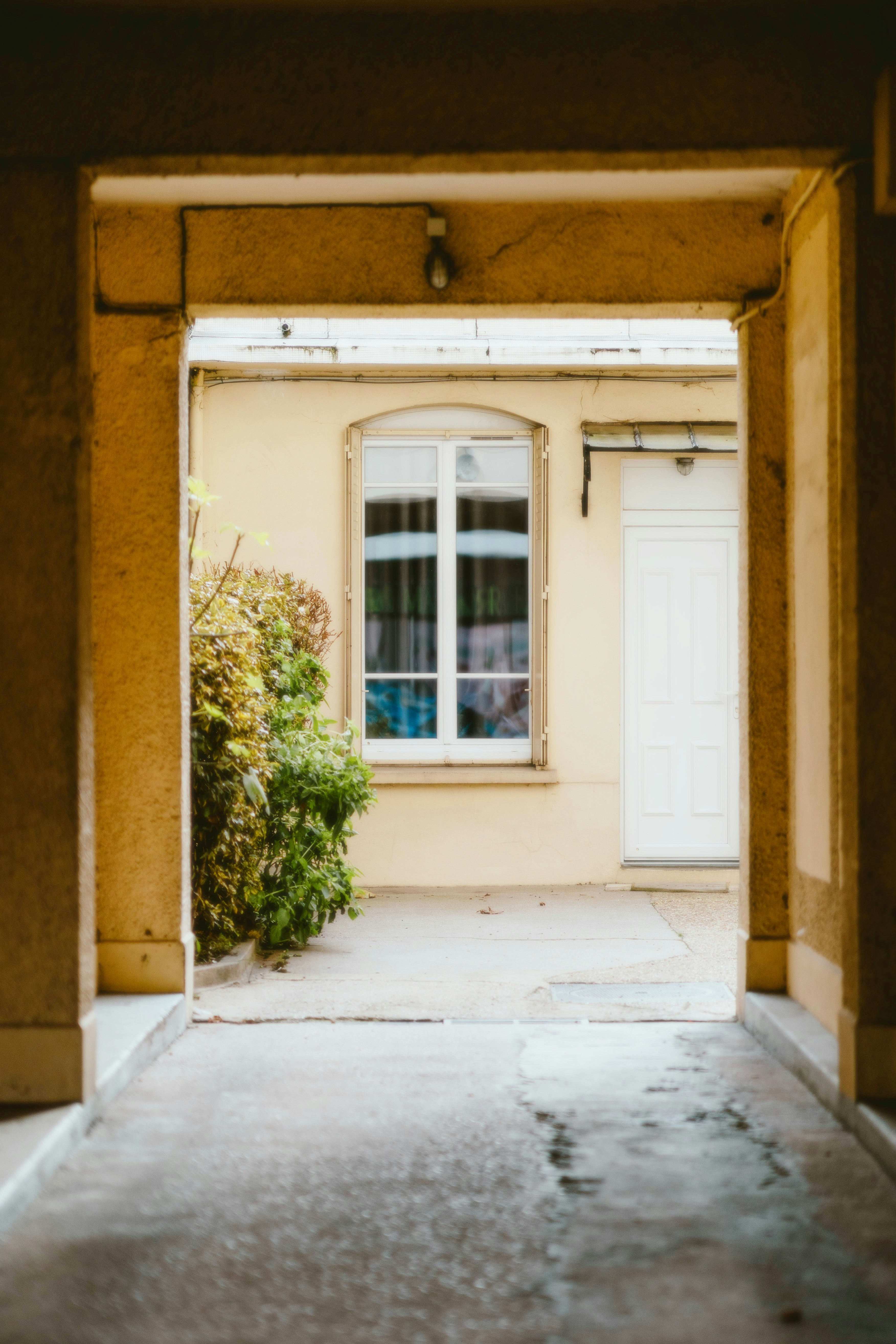 Photo by alingavriliuc