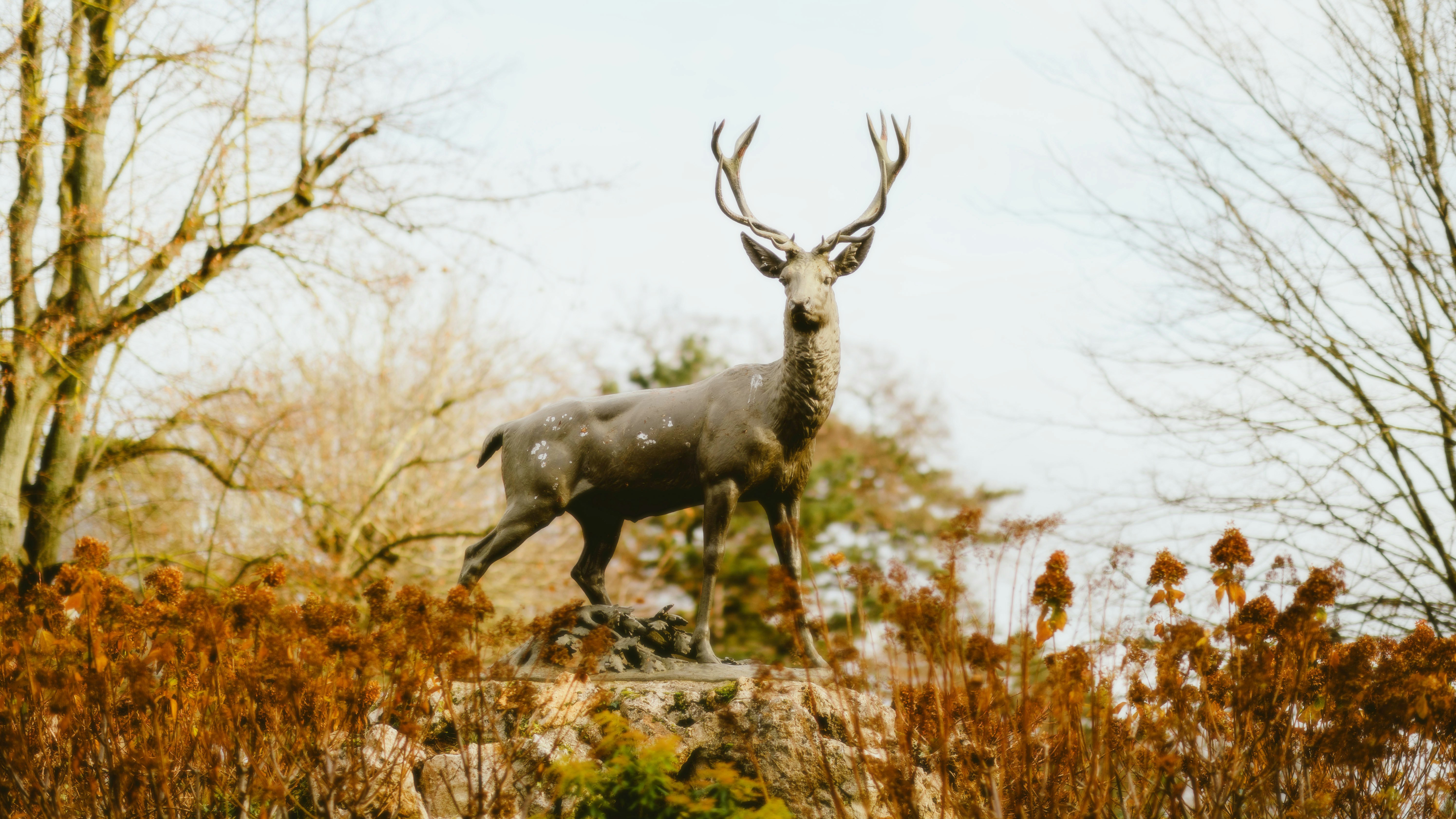 Photo by alingavriliuc