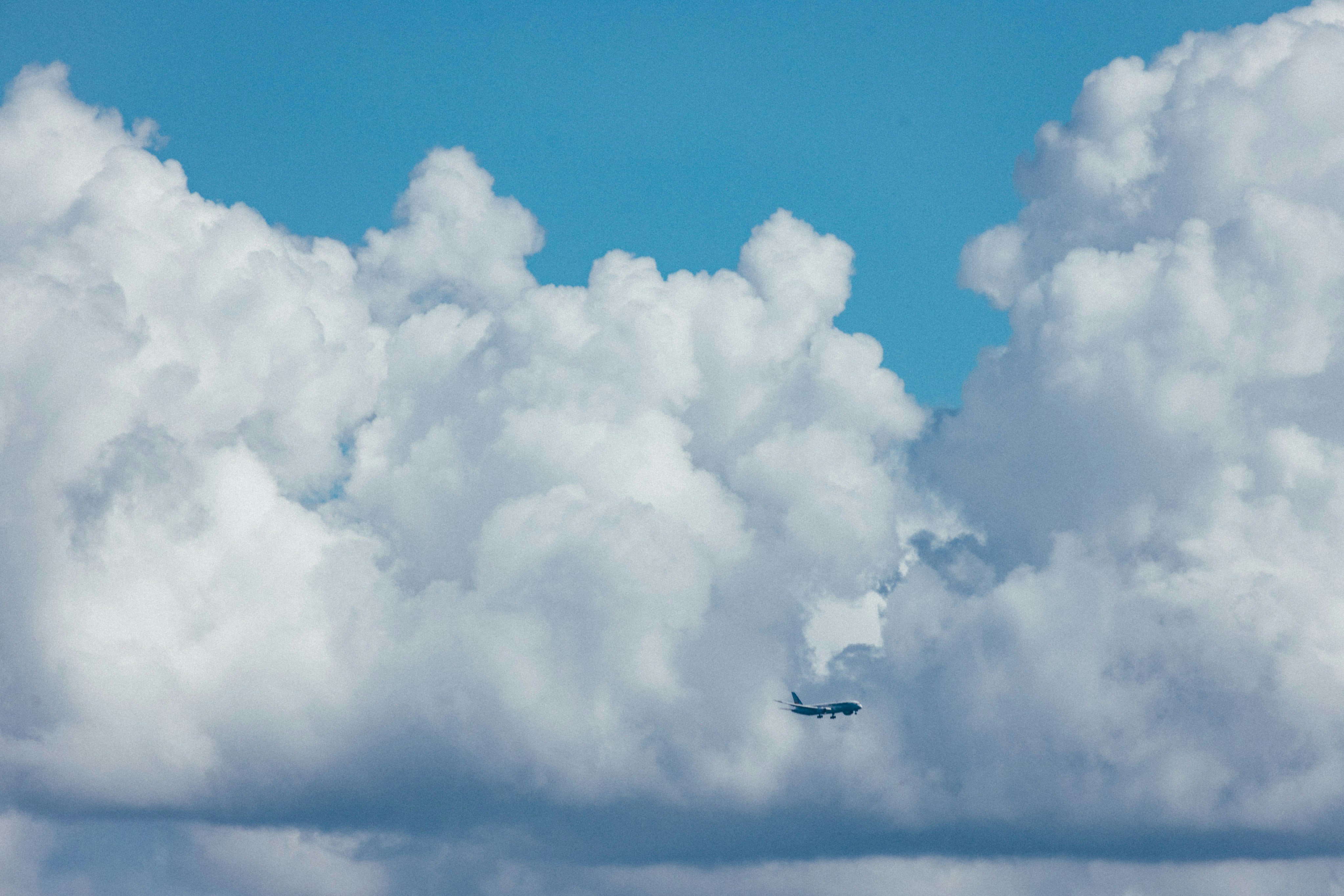 Photo by tsuyoshikozu