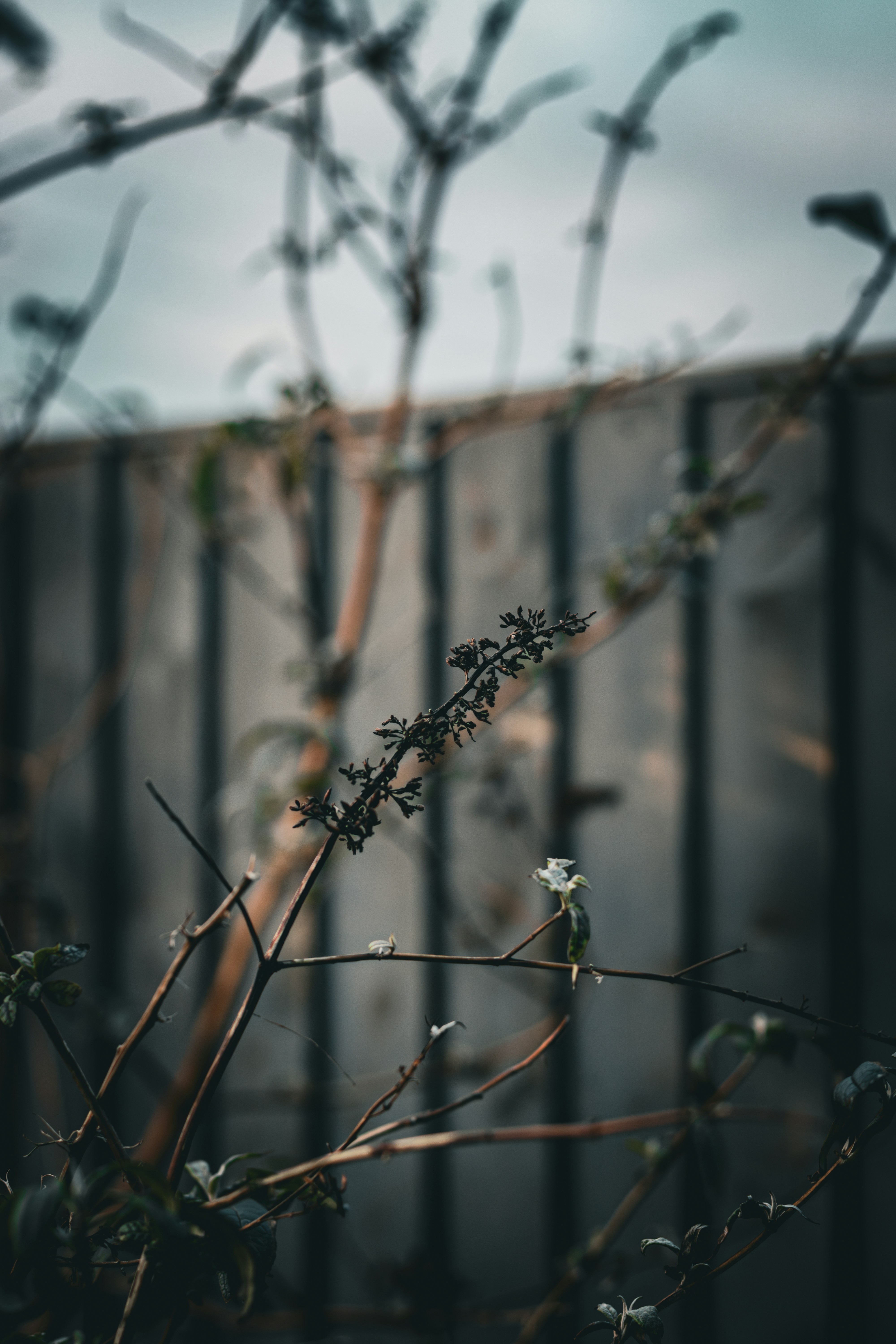 Photo by will__wright