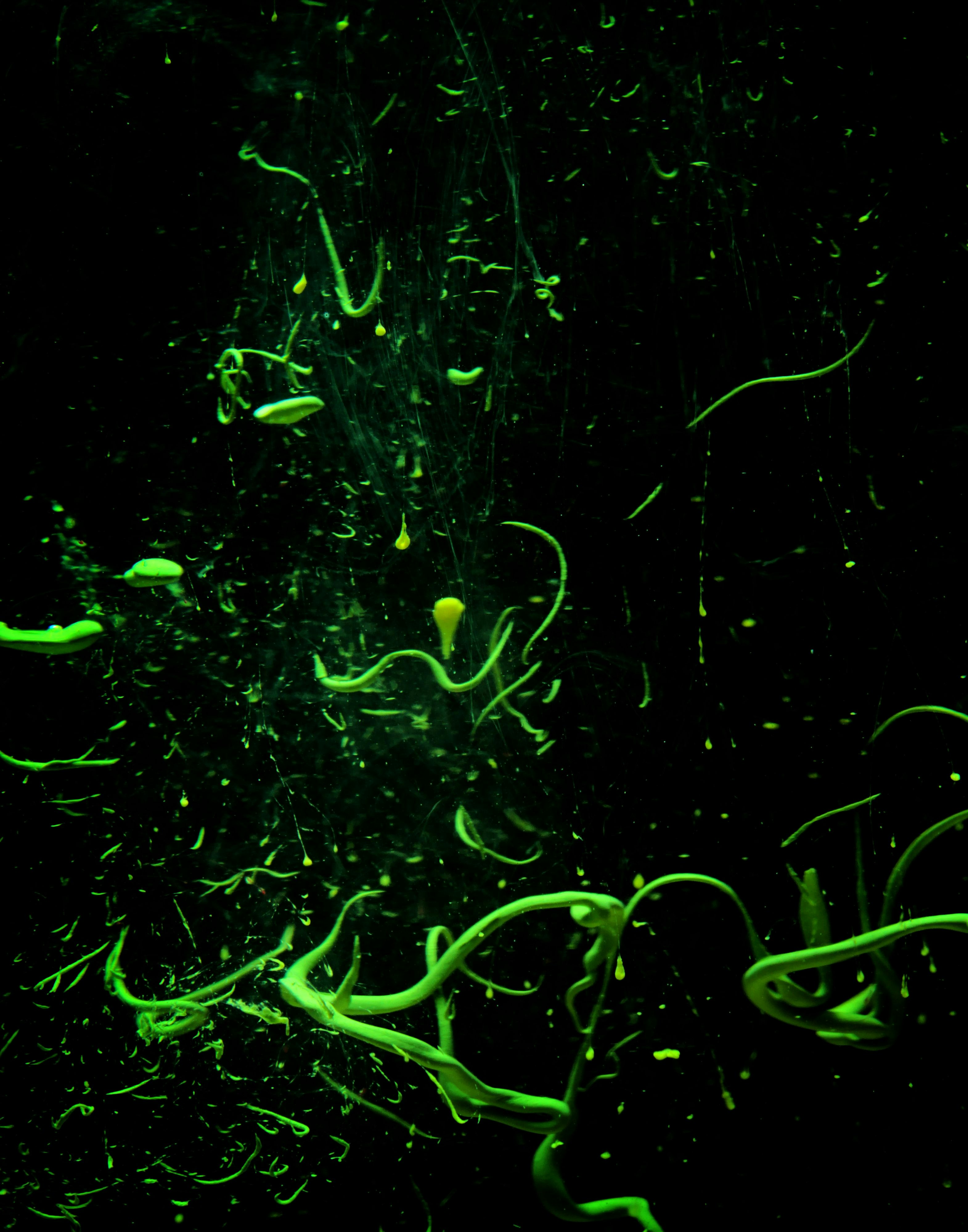 A close up of a cell phone with water on it