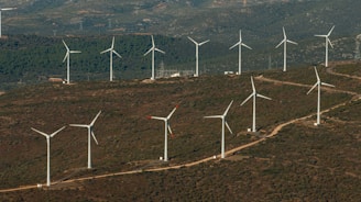 A large group of wind turbines on a hill