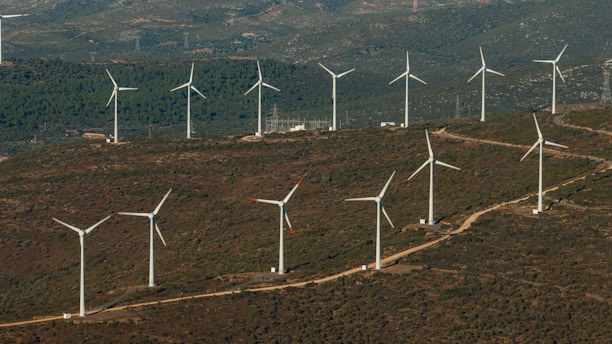 A large group of wind turbines on a hill