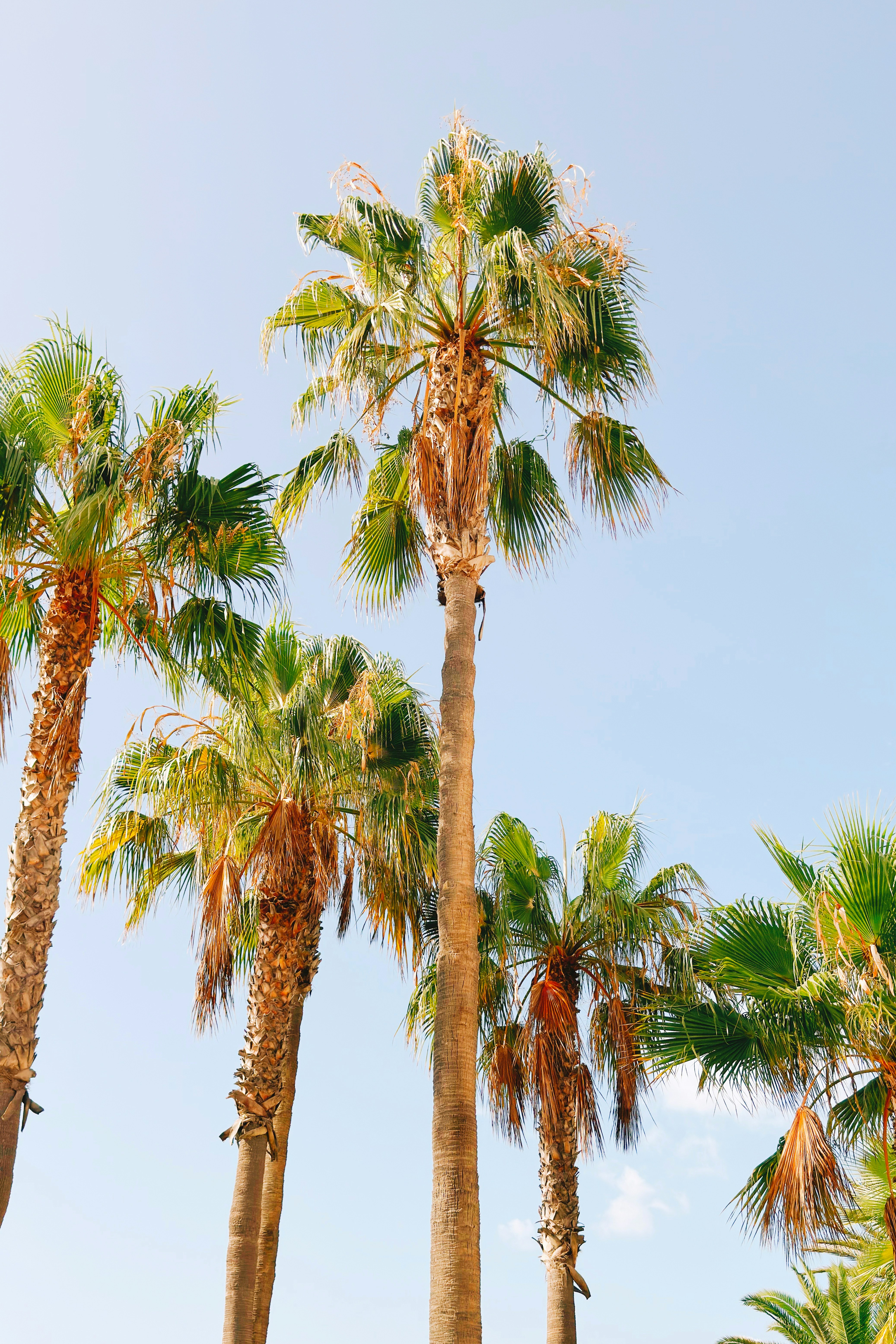 Photo by visualsbying