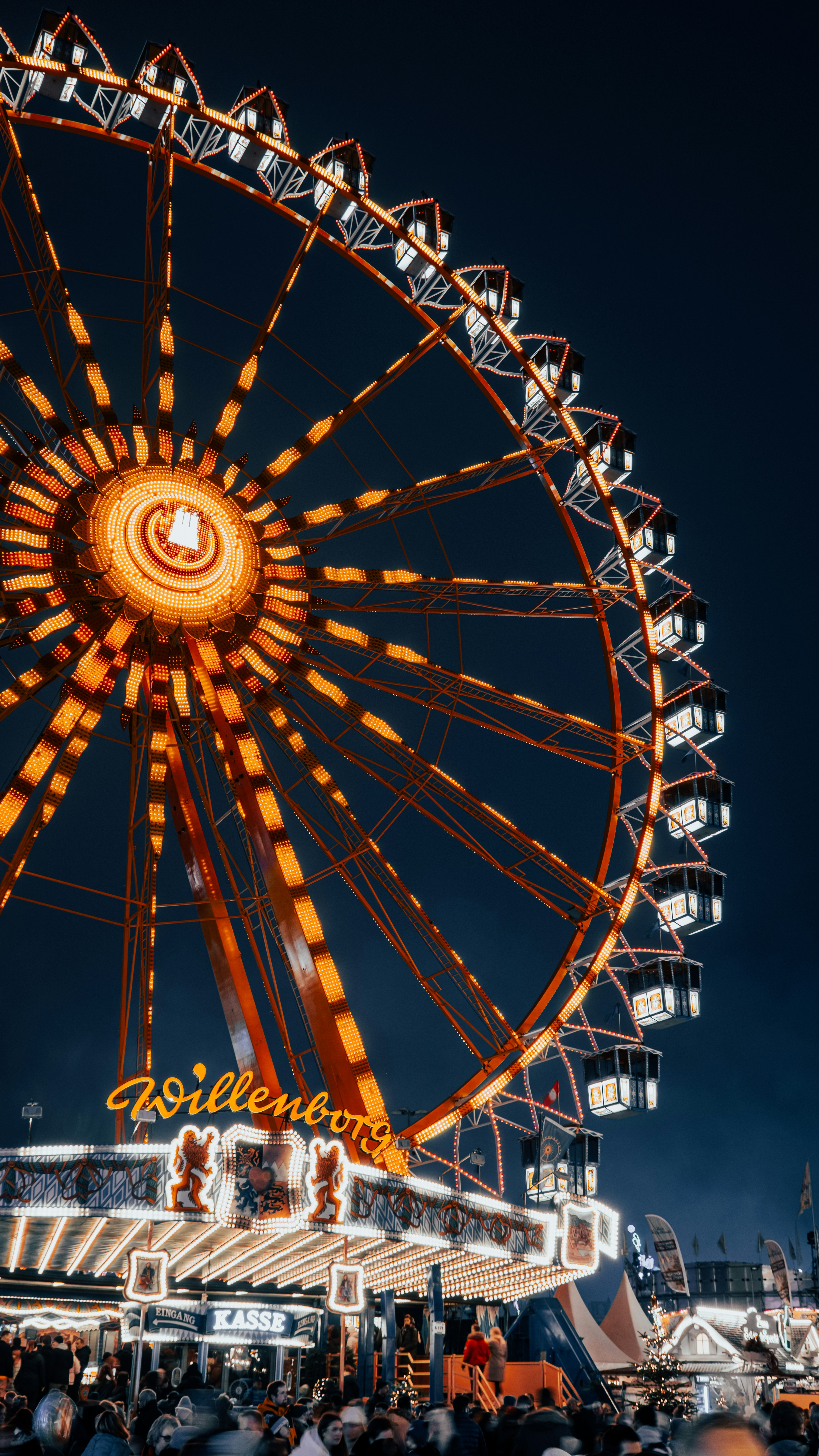 A large ferris wheel sitting in the middle of a park