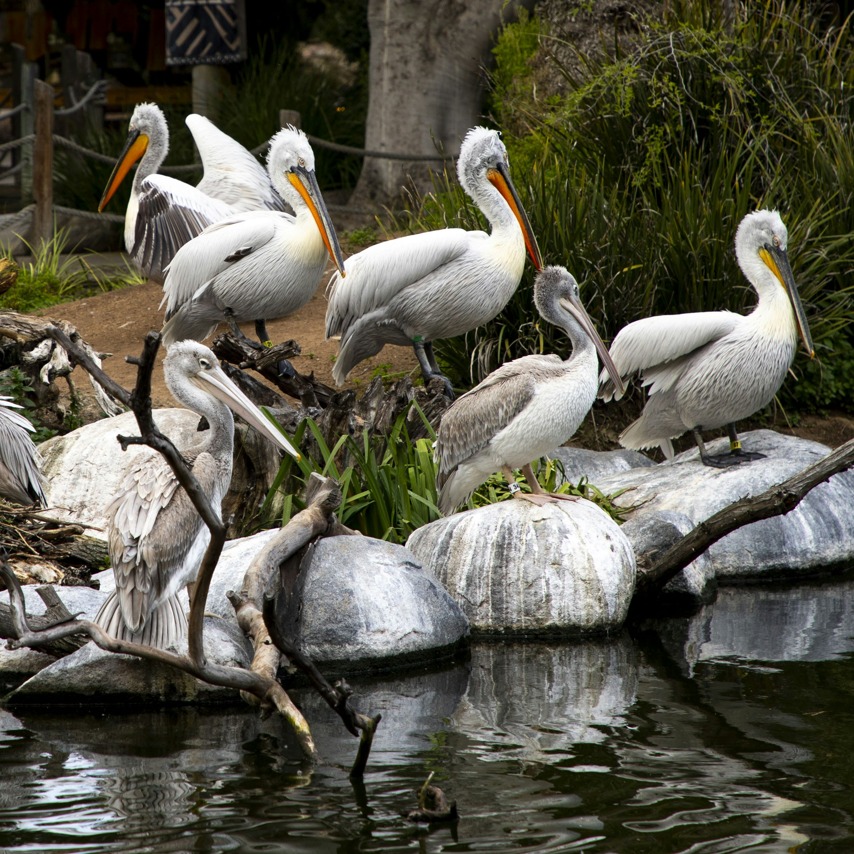 Photo by vicphotos99