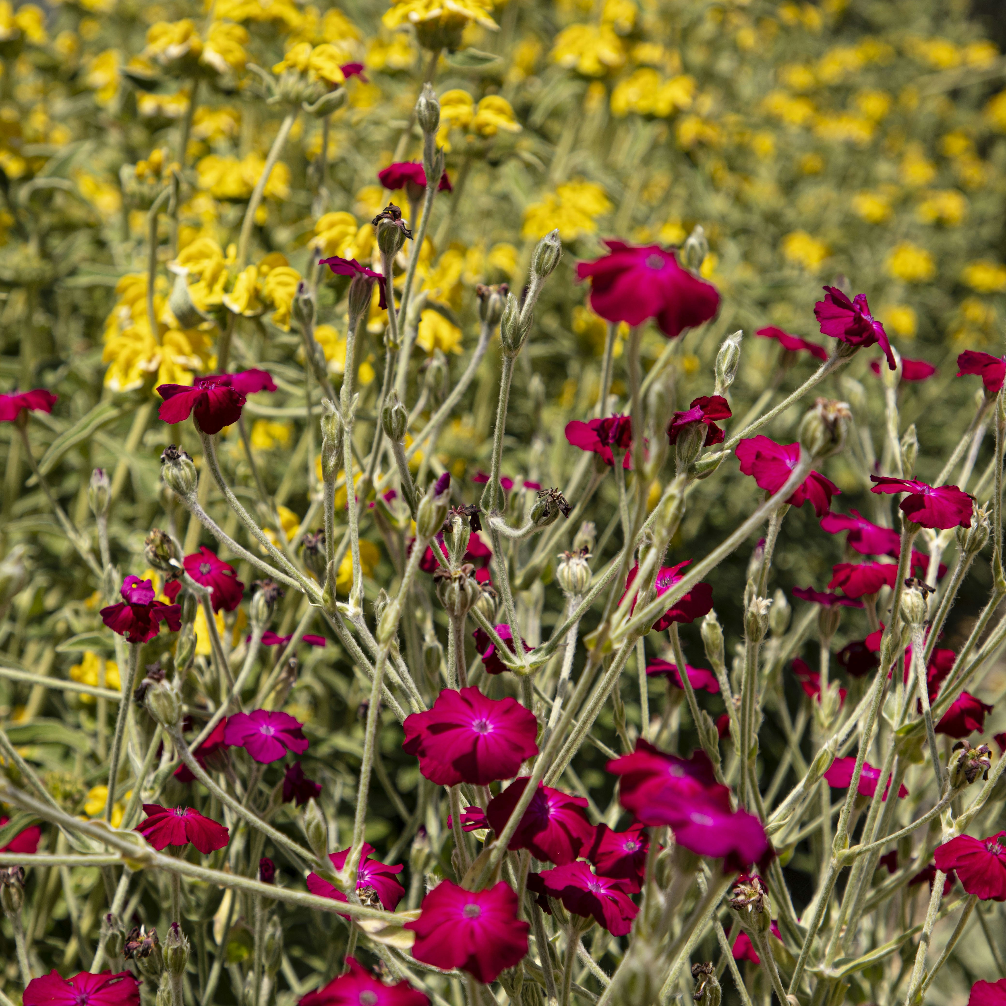 Photo by vicphotos99