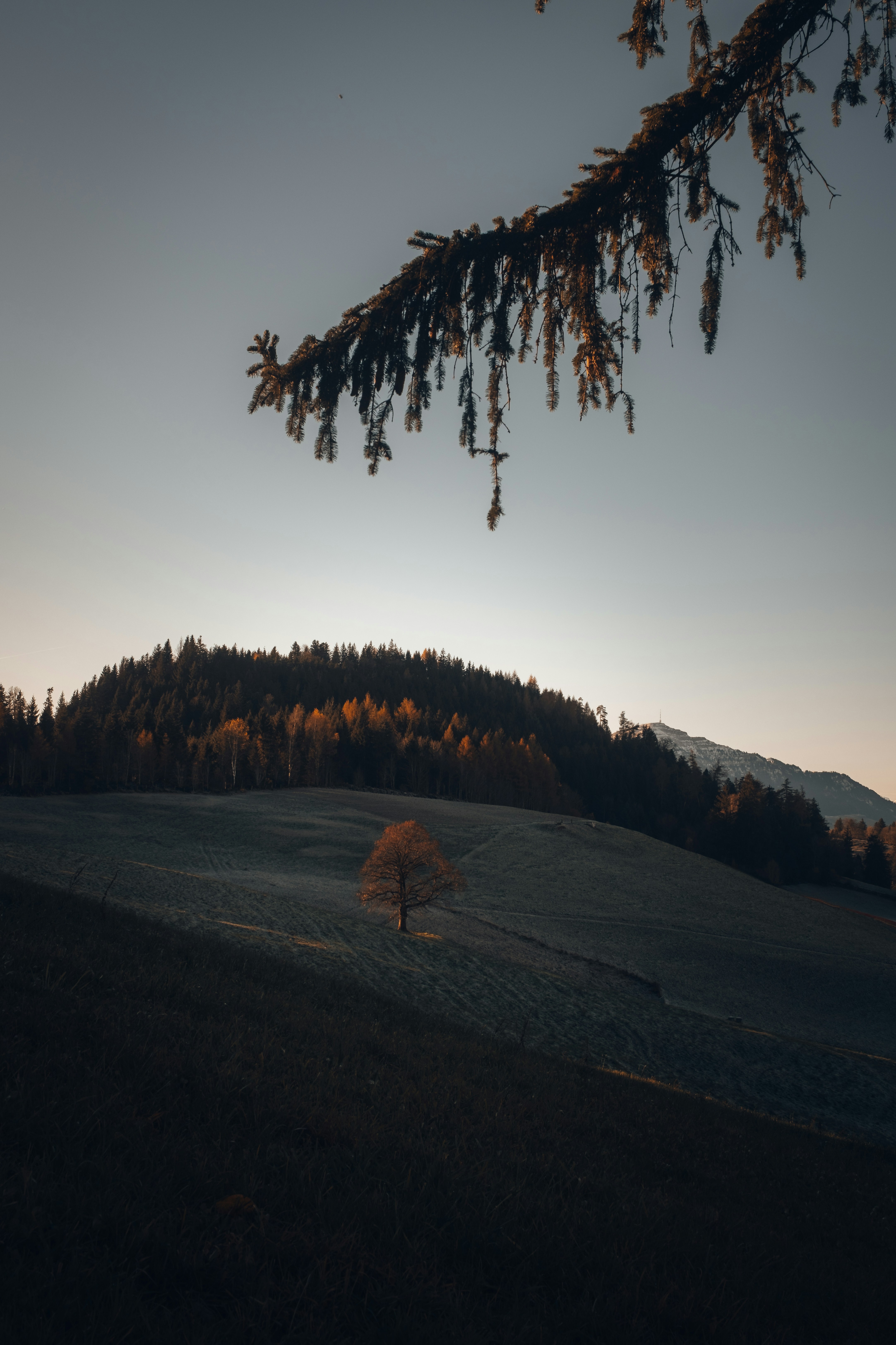 Photo by philipp_dice