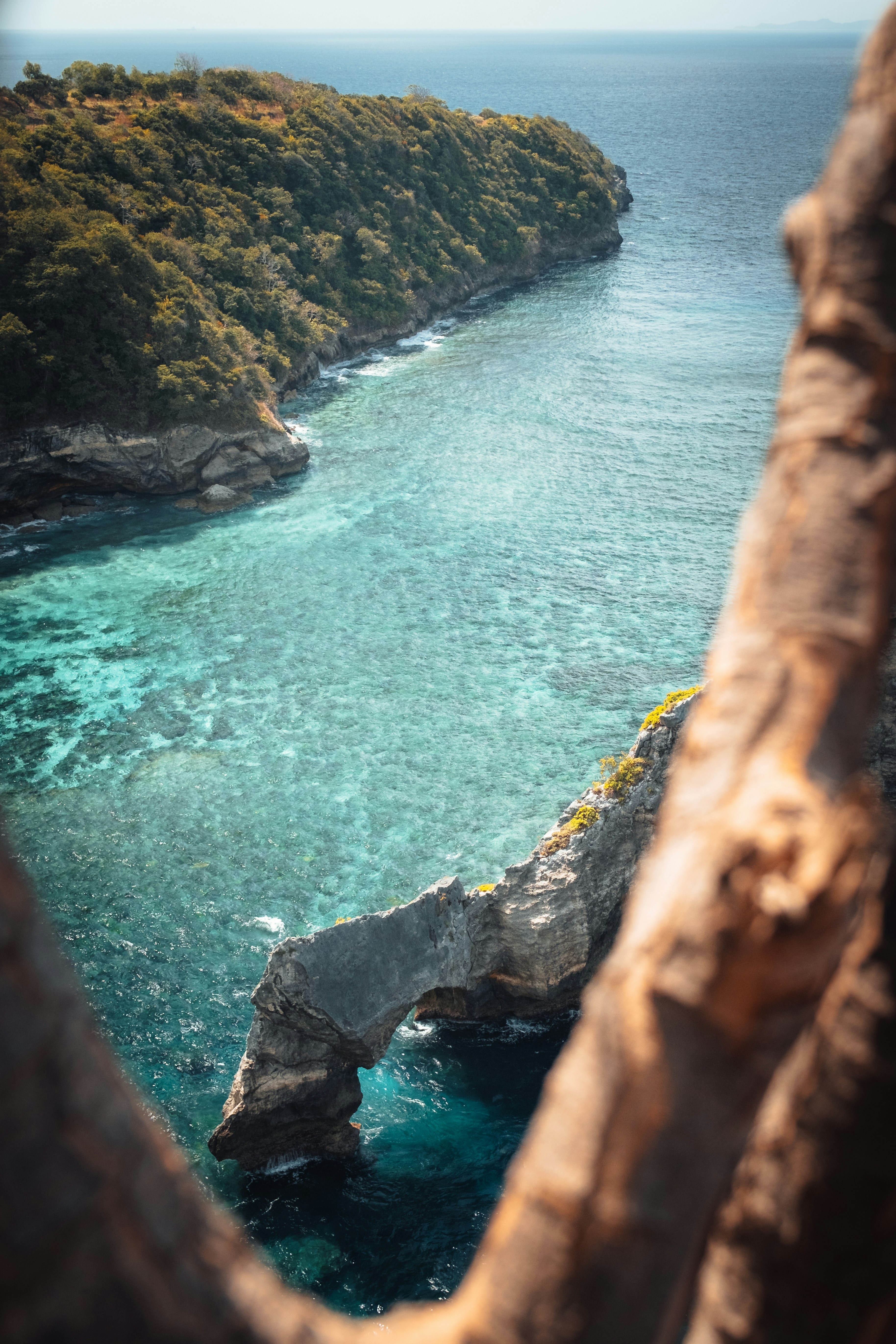 Photo by philipp_dice