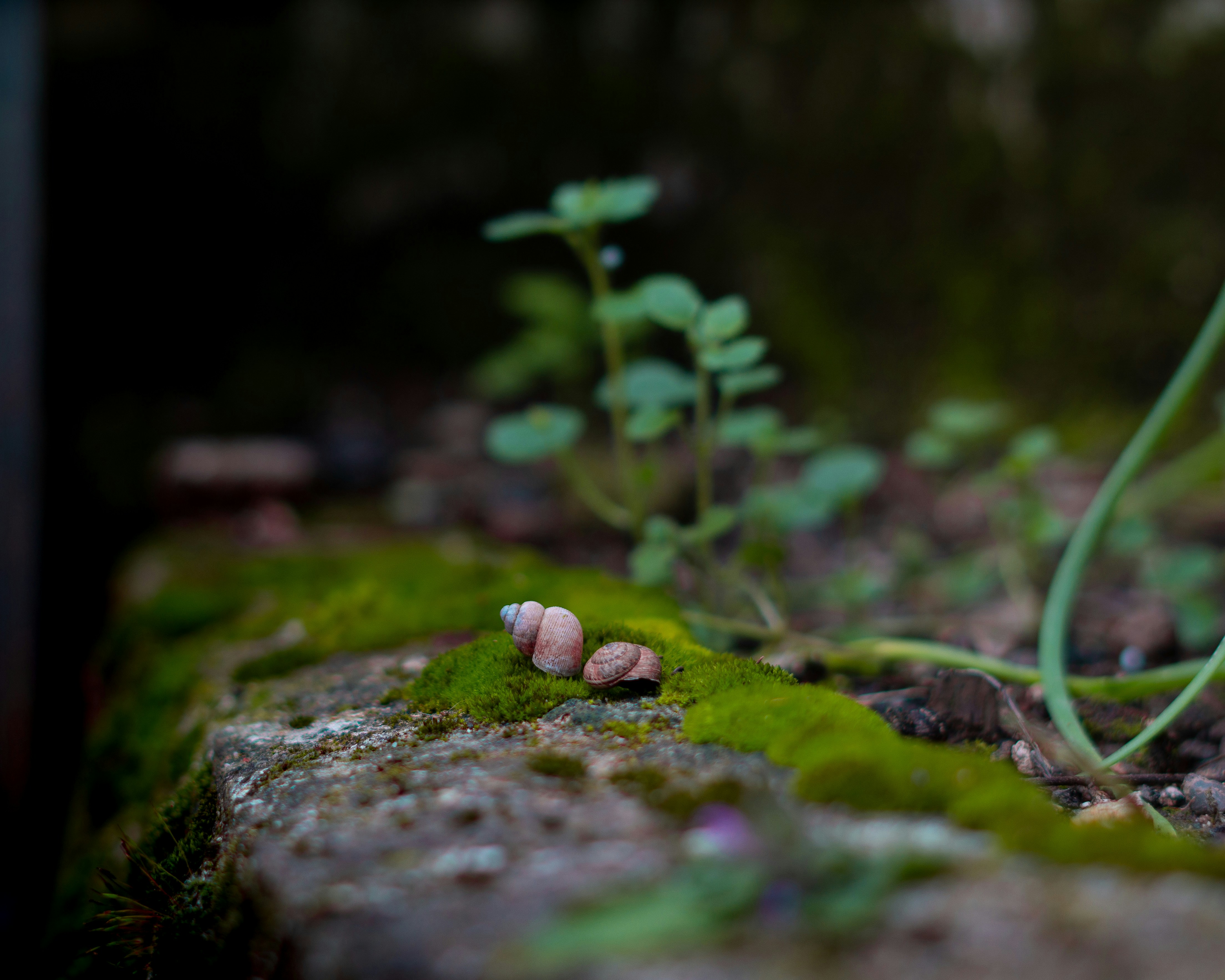 Photo by hardialsingh