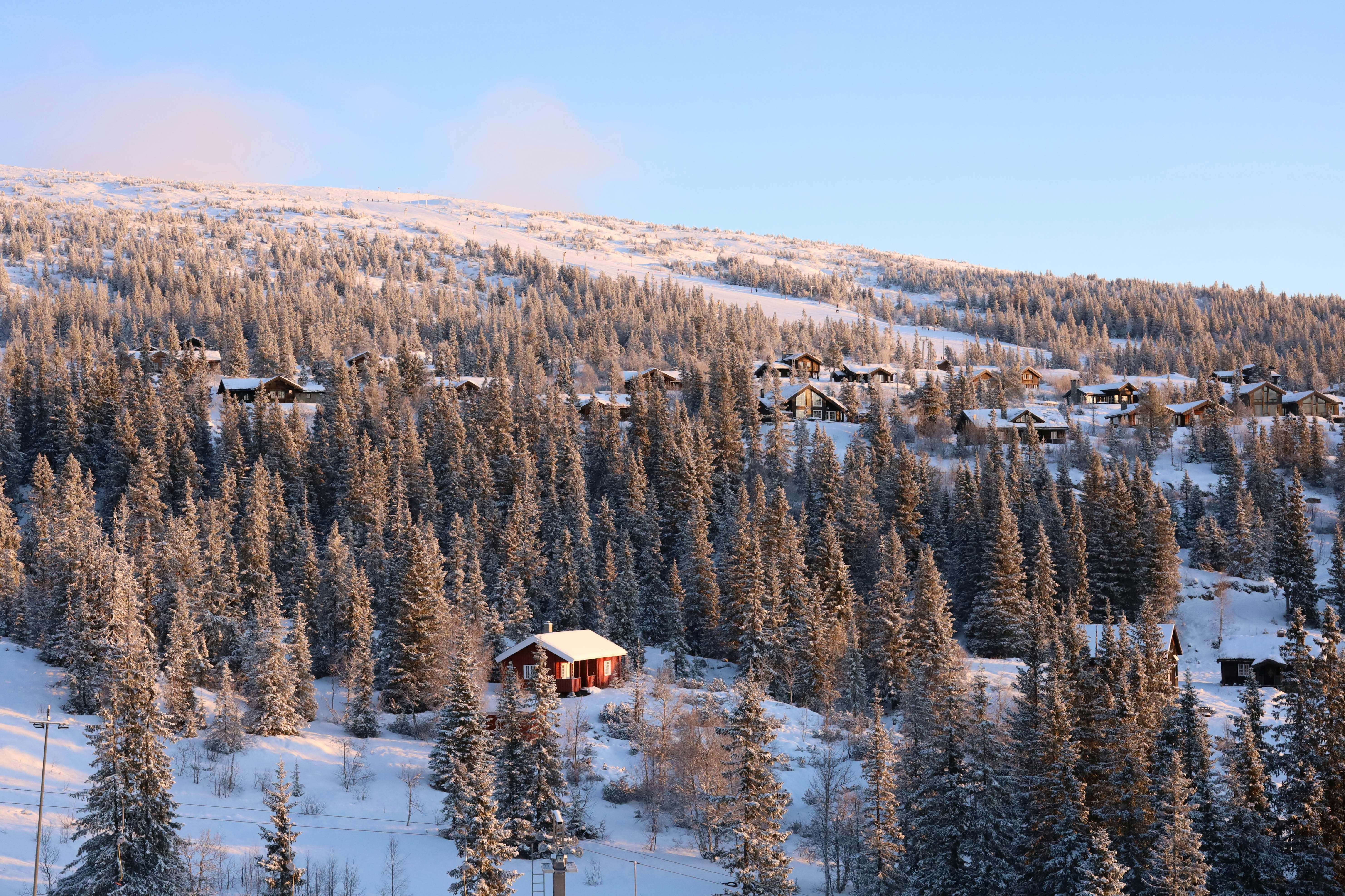 Photo by dariamemories