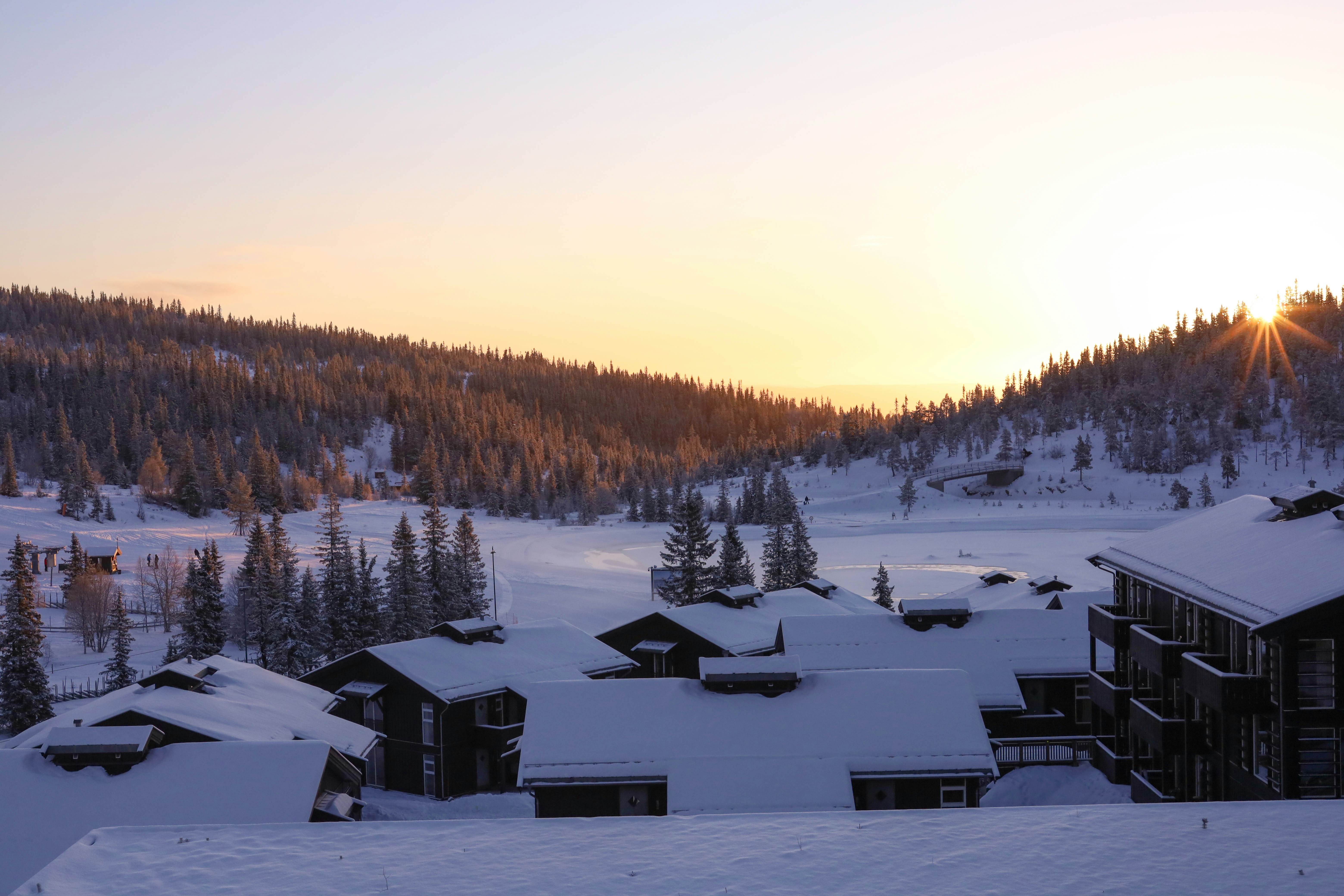 Photo by dariamemories