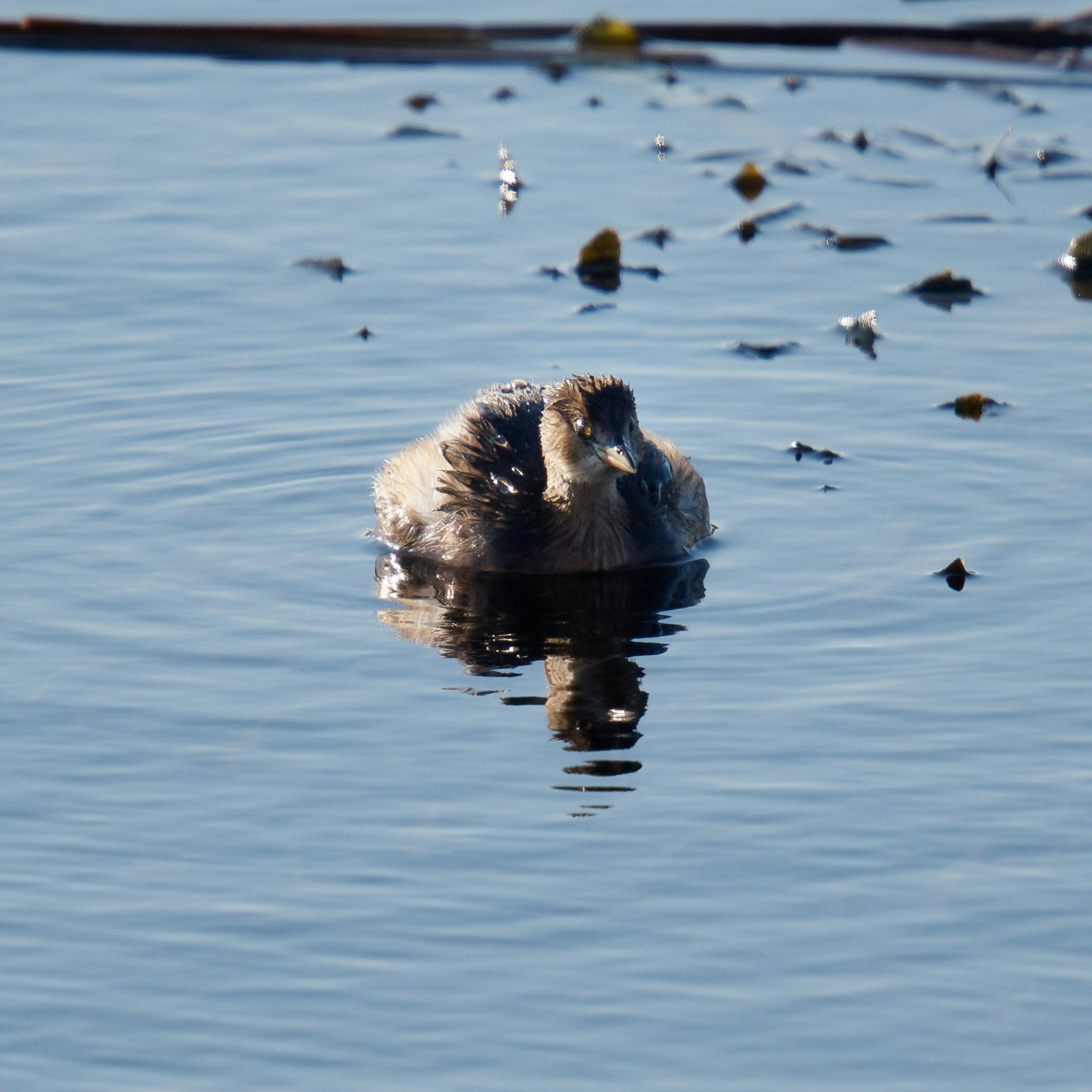 Photo by illes_cristi