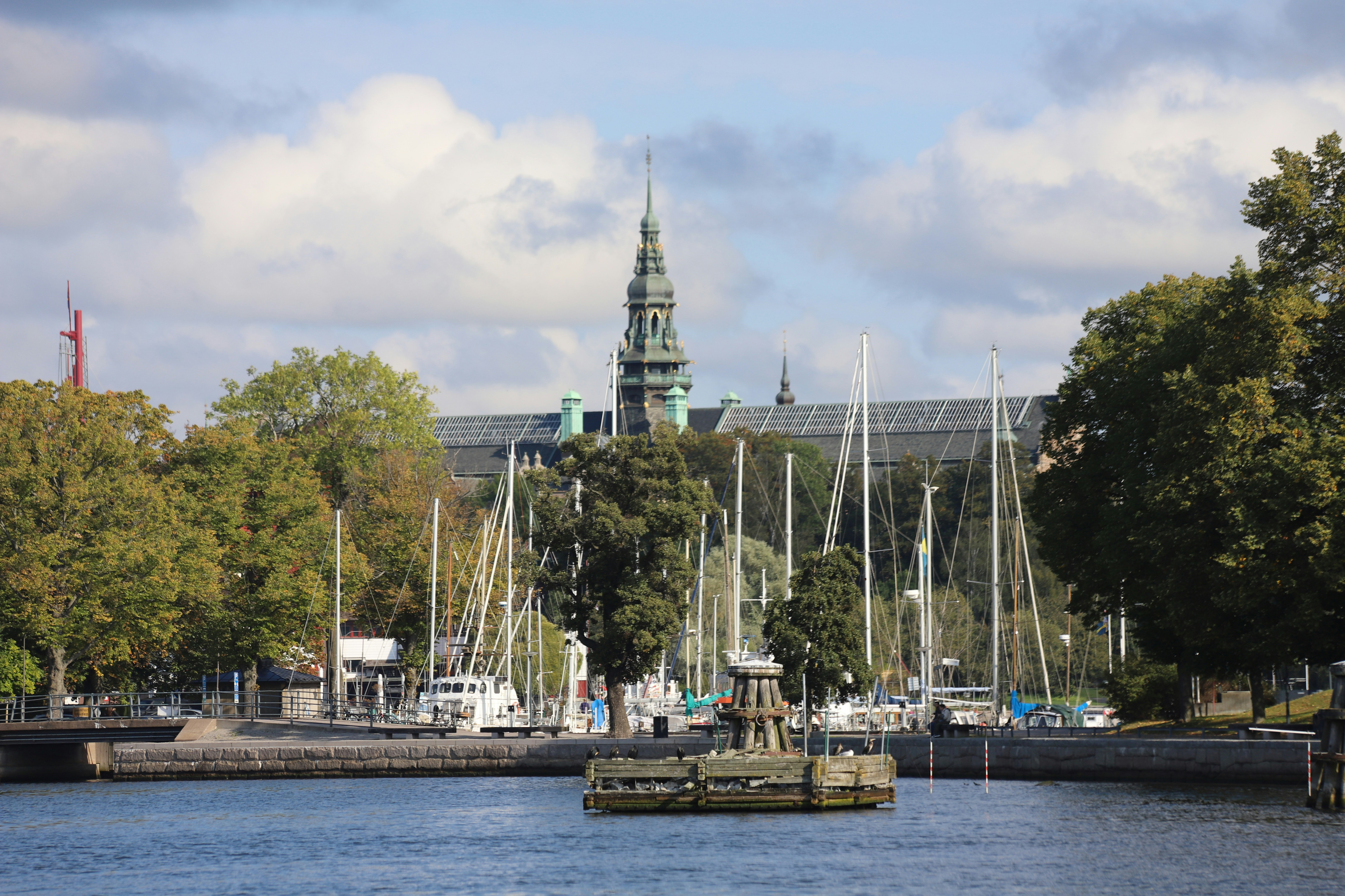 A body of water surrounded by trees and buildings