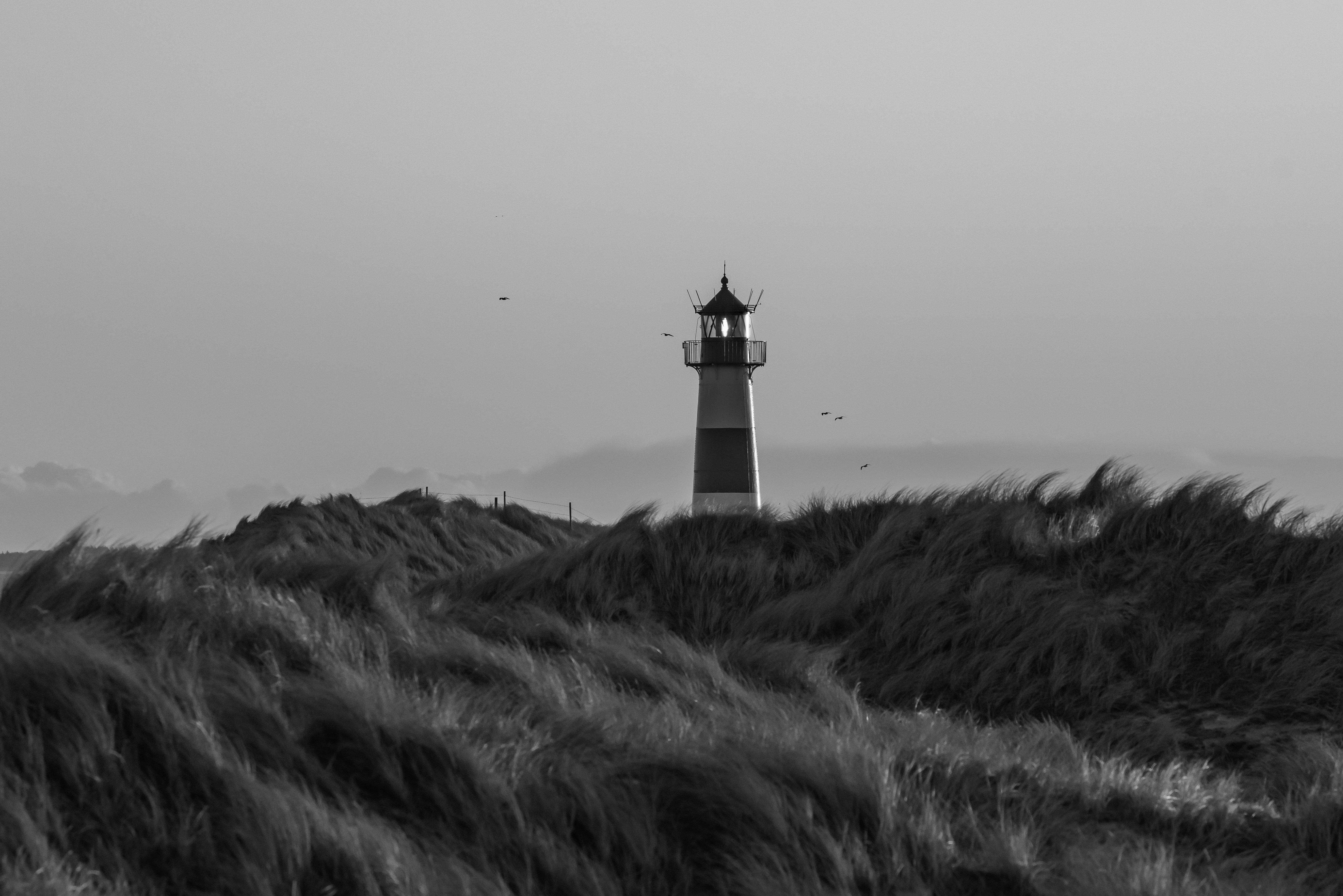 Photo by philipp_dice