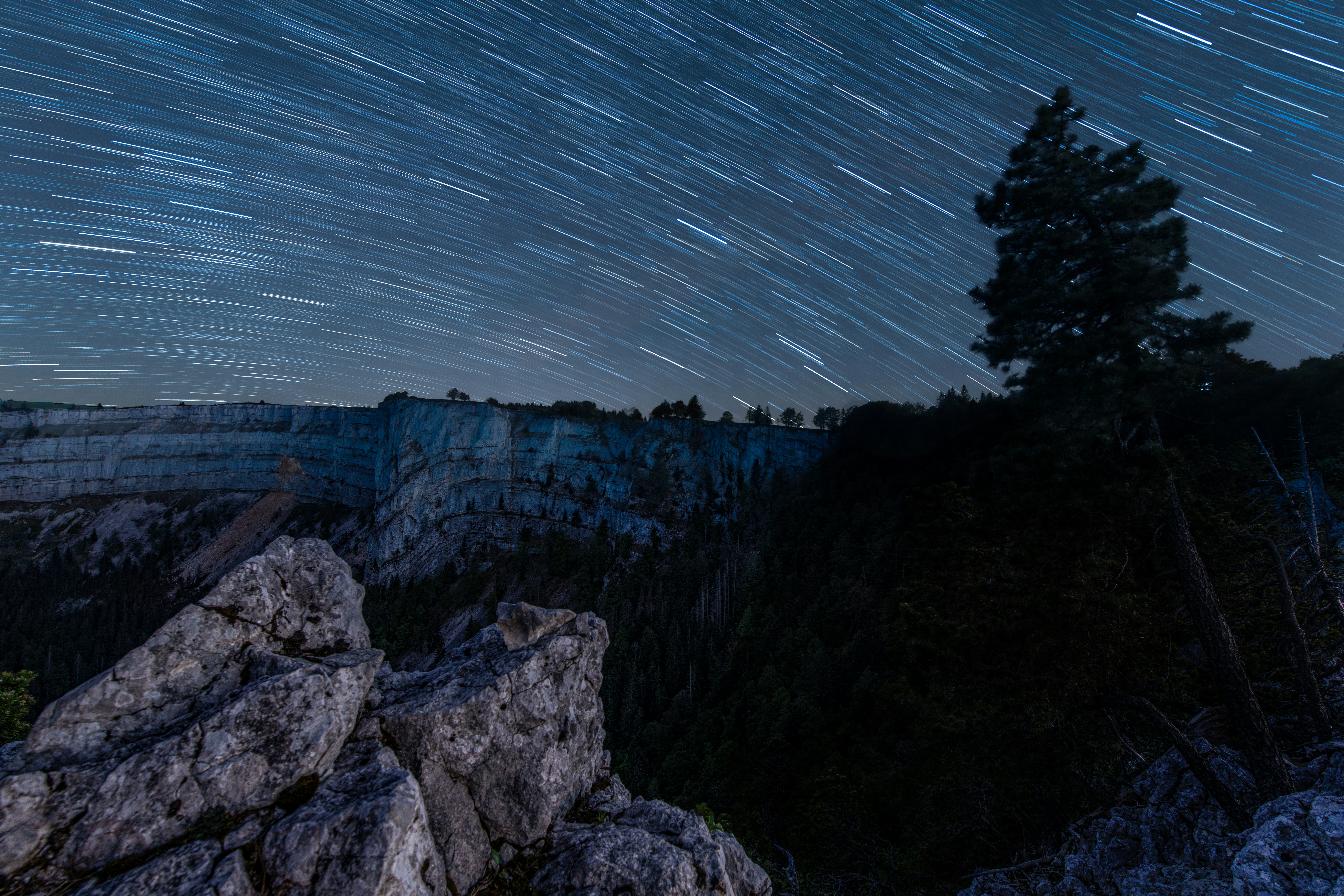 전세 대출은 이사하는 날에 집주인 통장으로 대출금이 입금되나요?