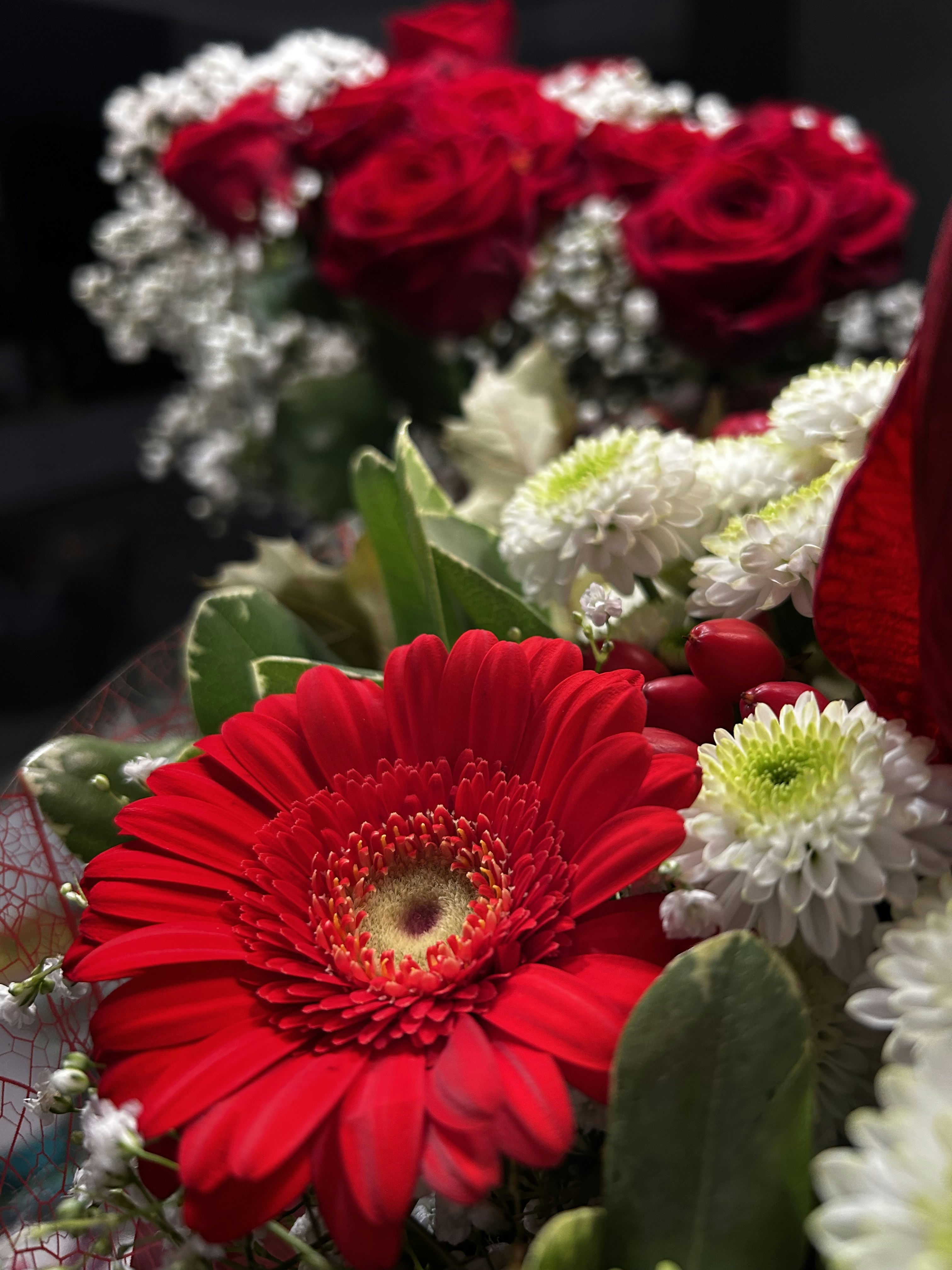 Photo by animagraphy