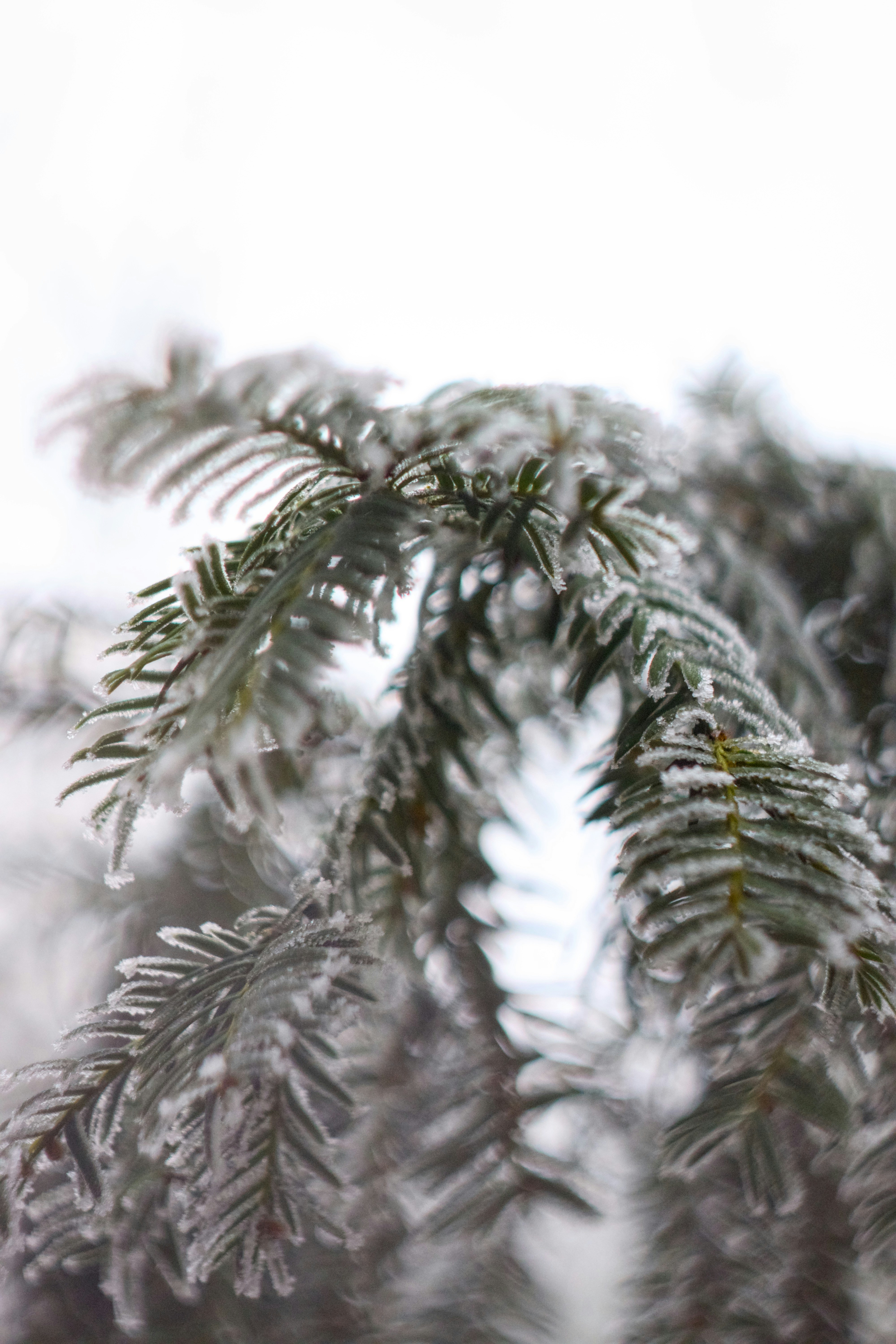 Photo by danilkinkin