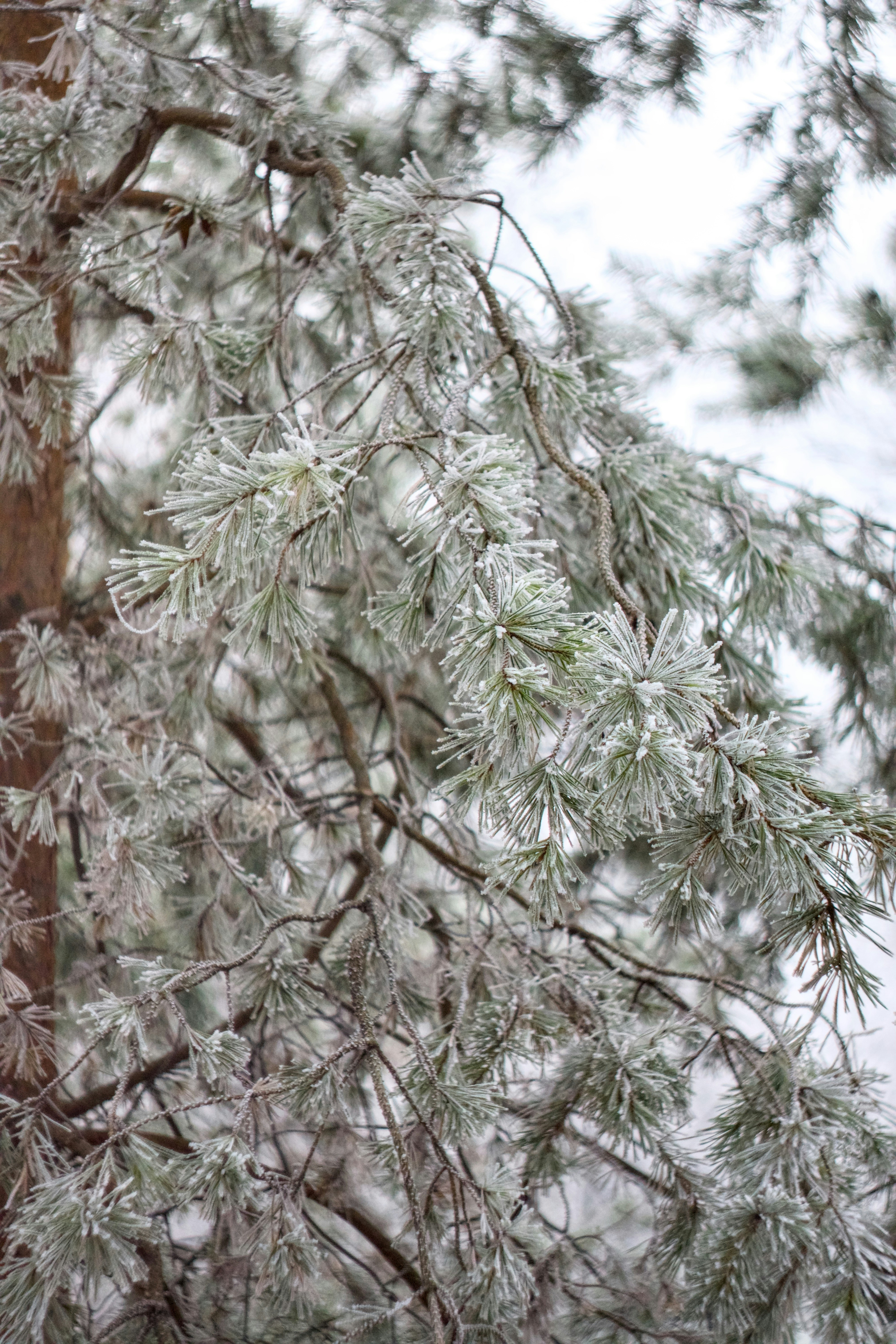 Photo by danilkinkin