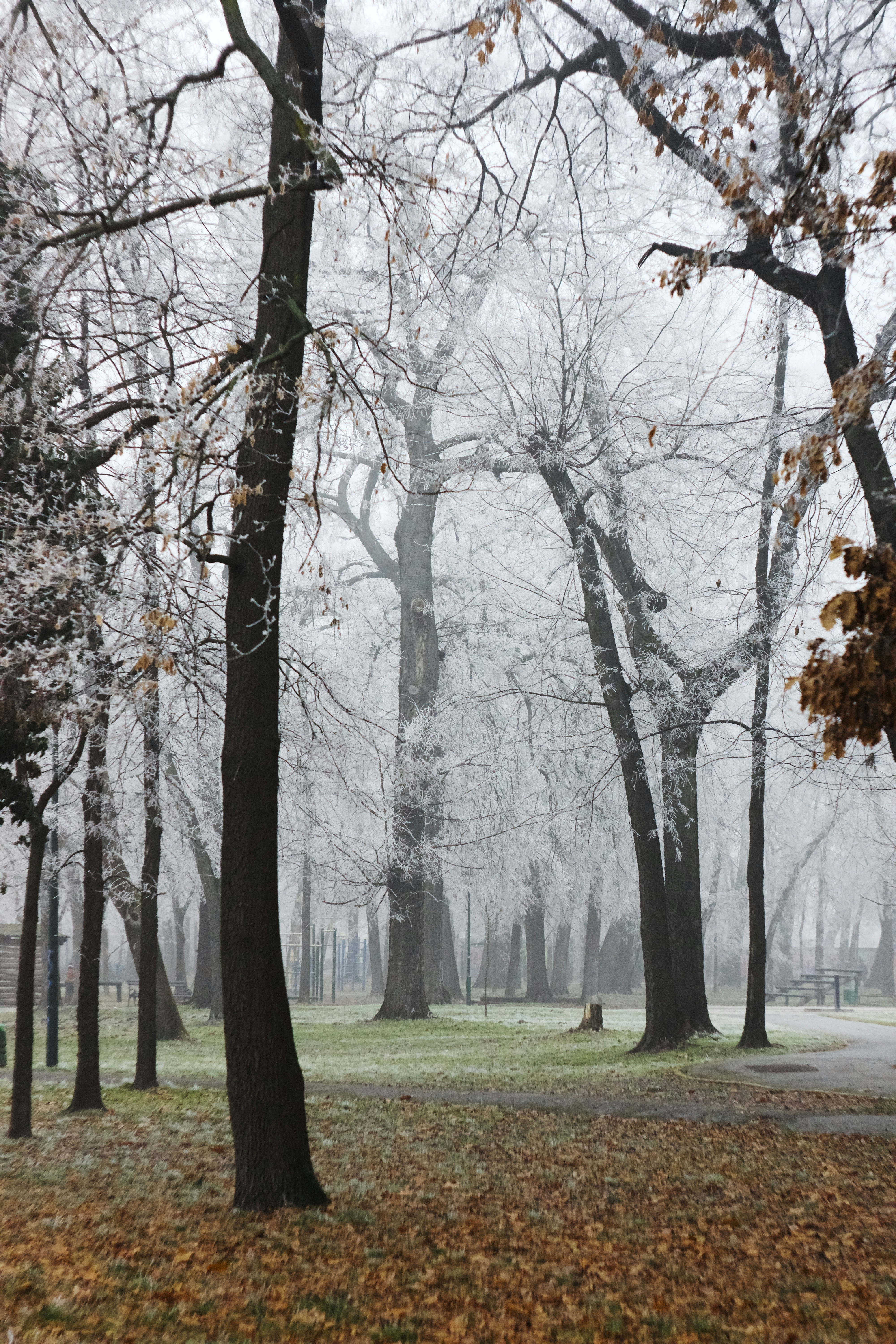 Photo by danilkinkin