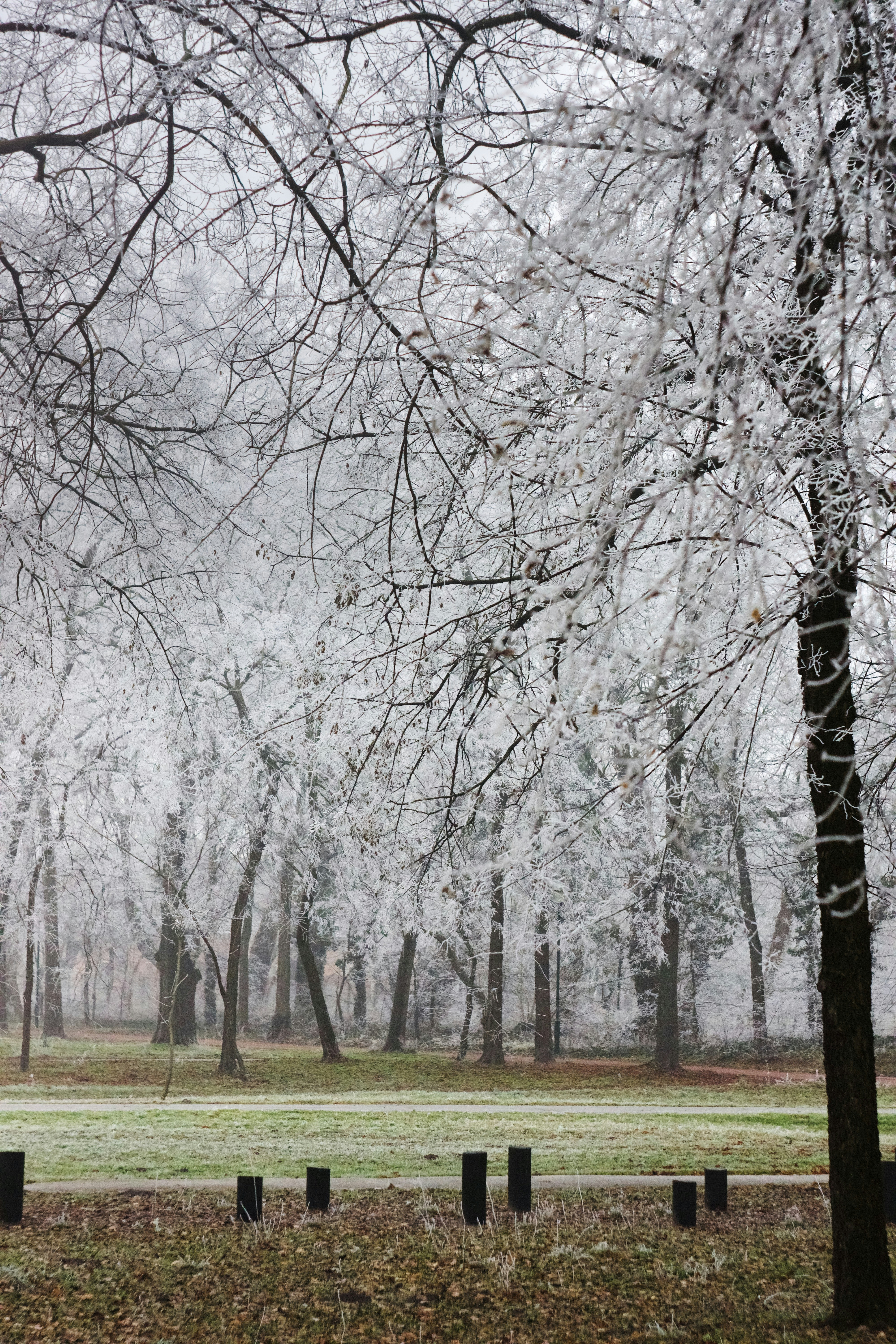 Photo by danilkinkin